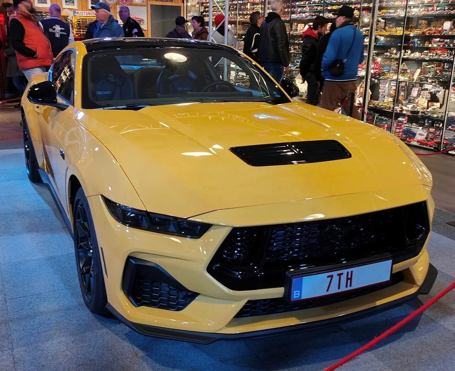 Yellow Splash Adelbert 9.jpg