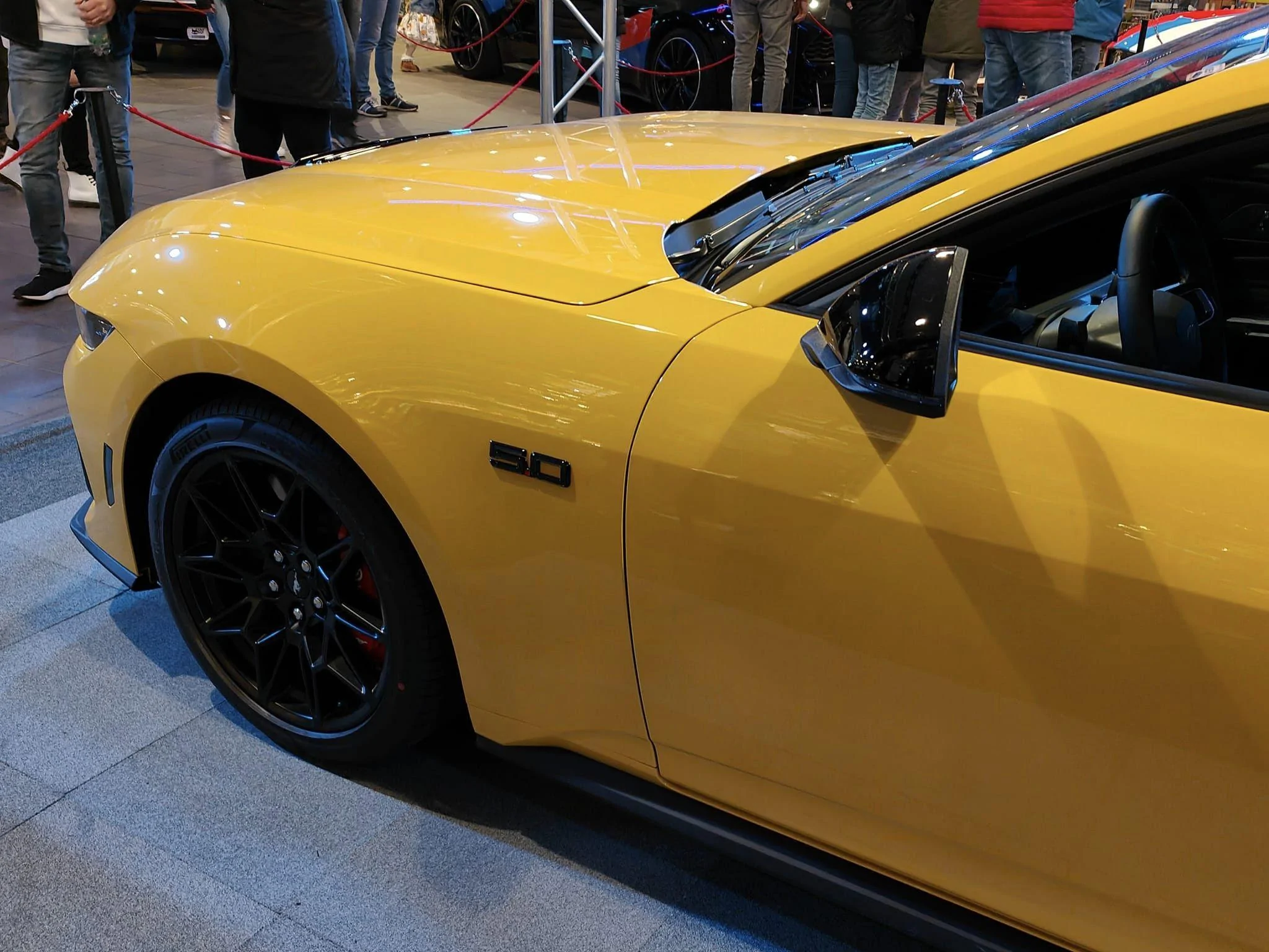 Yellow Splash Adelbert 11.jpg