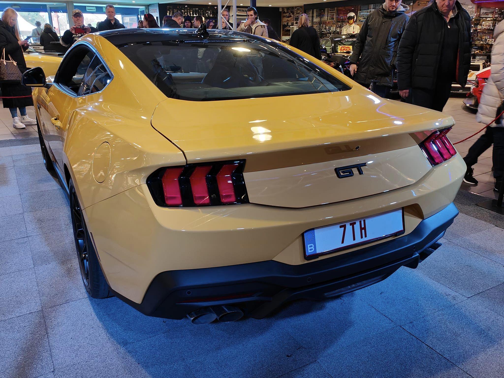 Yellow Splash Adelbert 14.jpg