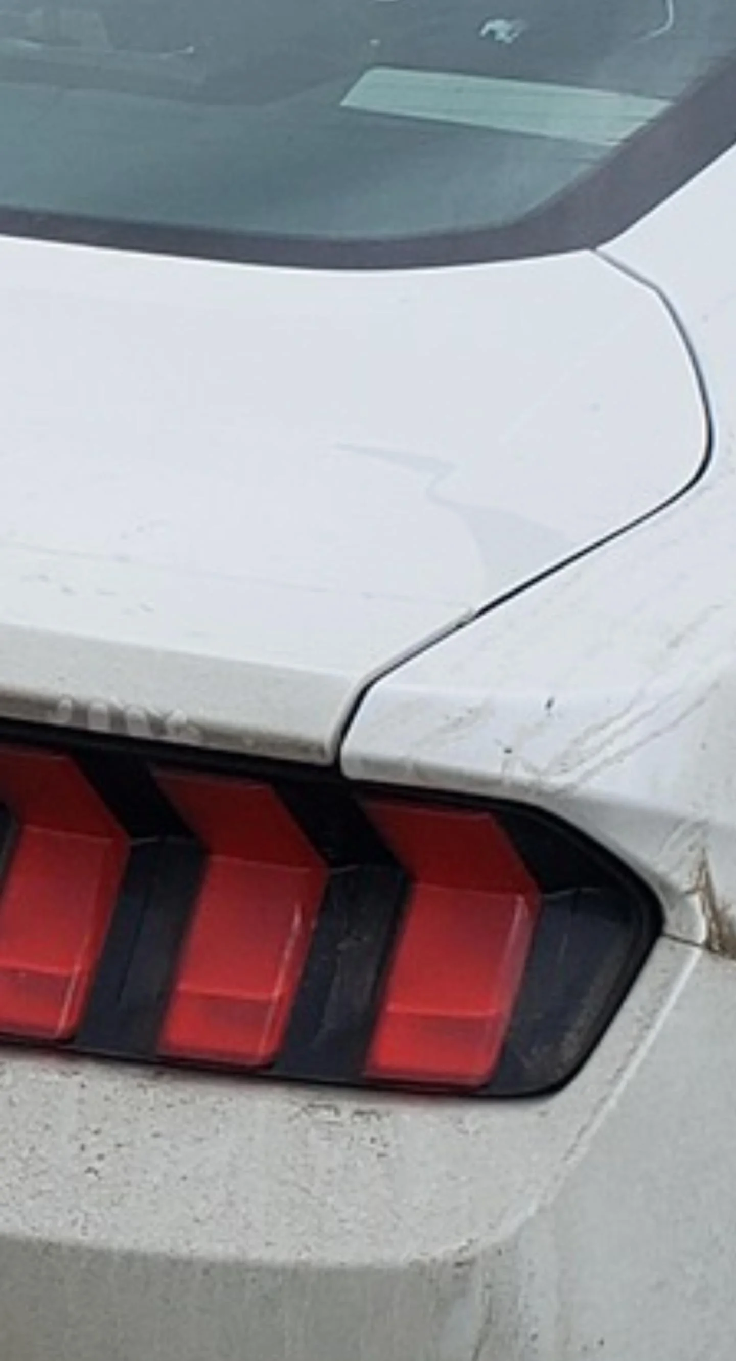 S650 Mustang Mustang Panel Alignment Problems Screenshot_20230426_125849_Chrom