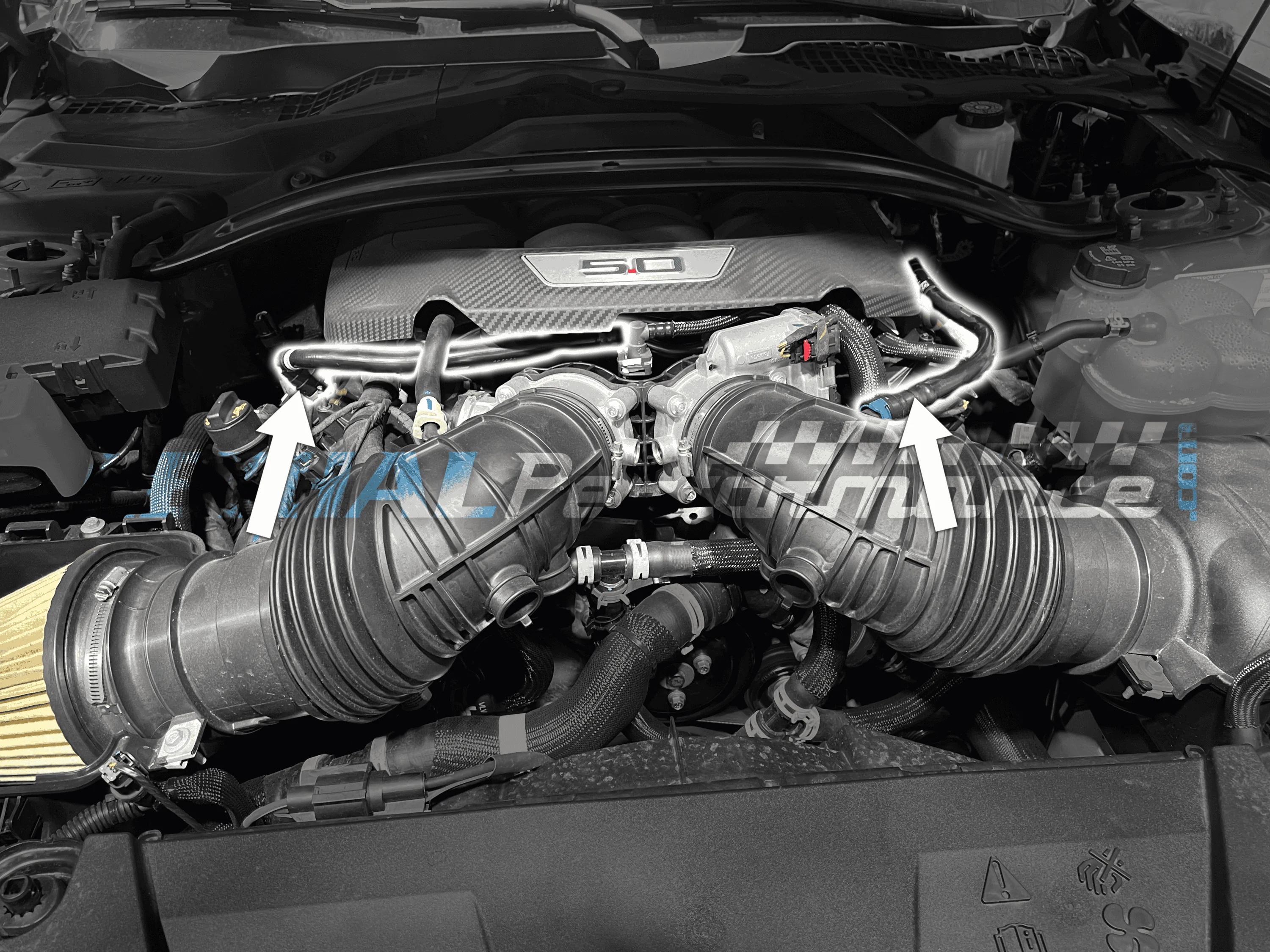 S650 Mustang Oil catch can YES or NO? mustang pcv 