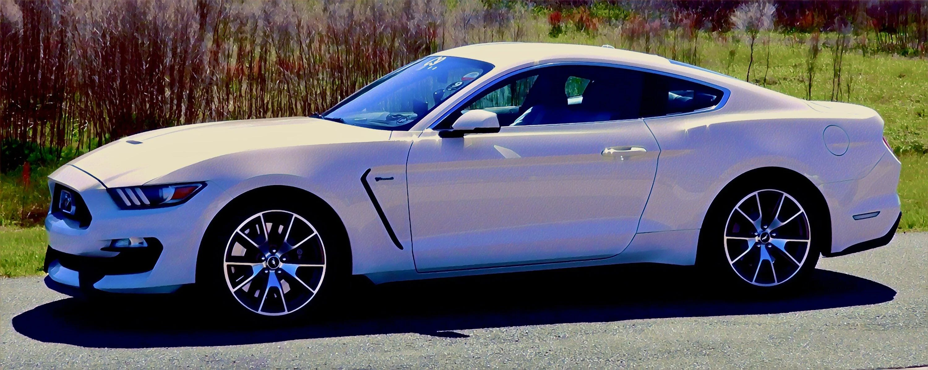 S650 Mustang Flat Rock plant down due to quality issues 1683754157134