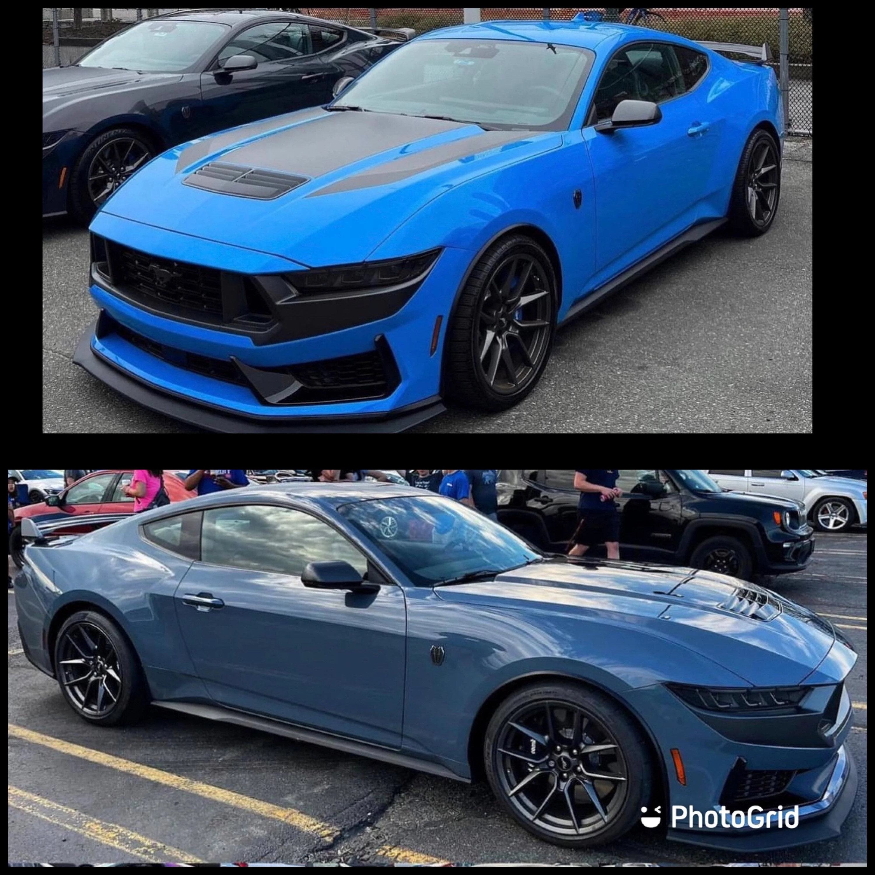 S650 Mustang Grabber Blue vs Vapor Blue Poll 6F9D7E43-74F5-473C-A91C-53872287A044