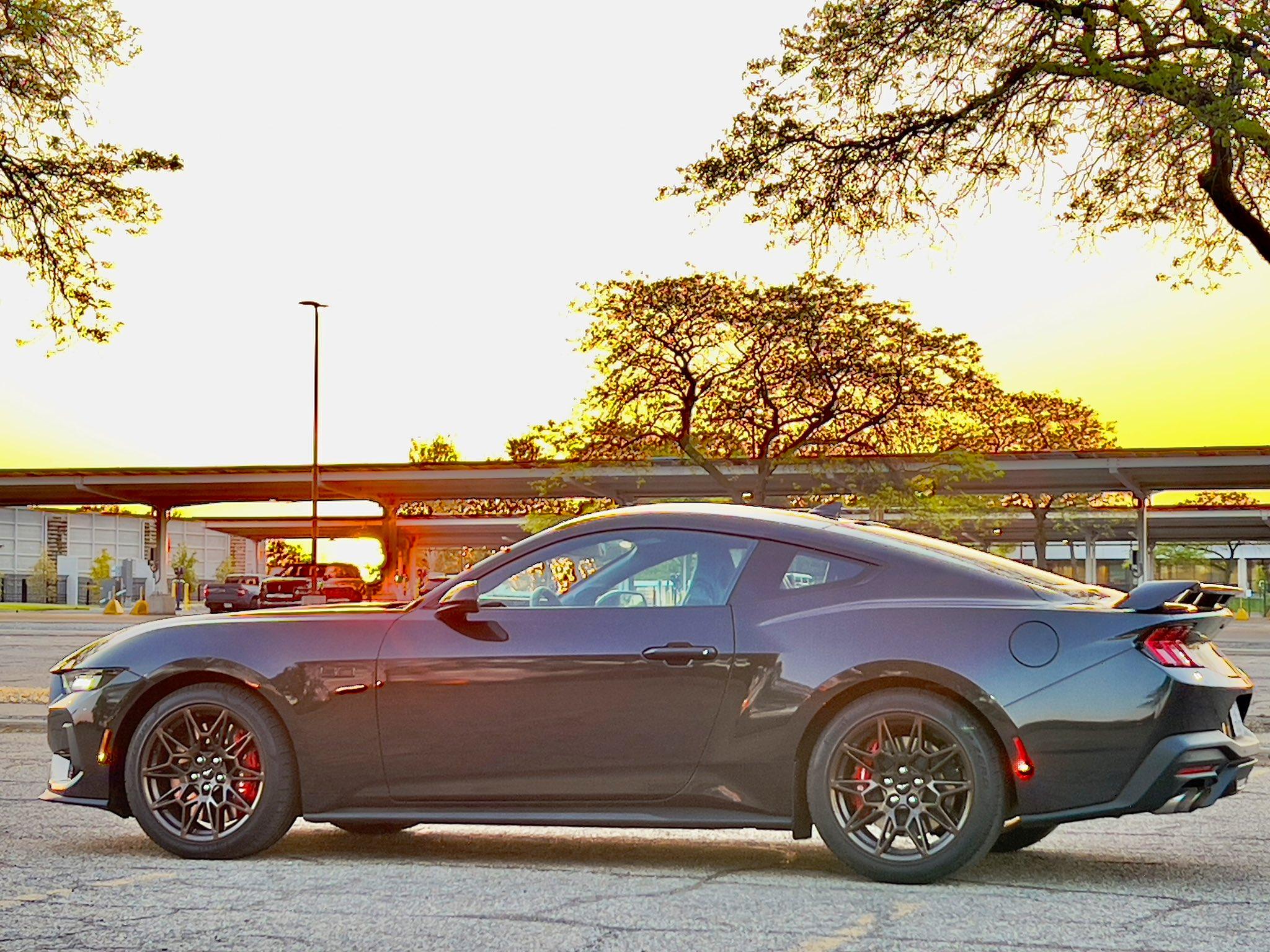 S650 Mustang Official DARK MATTER GRAY Mustang S650 Thread 20230517_063318