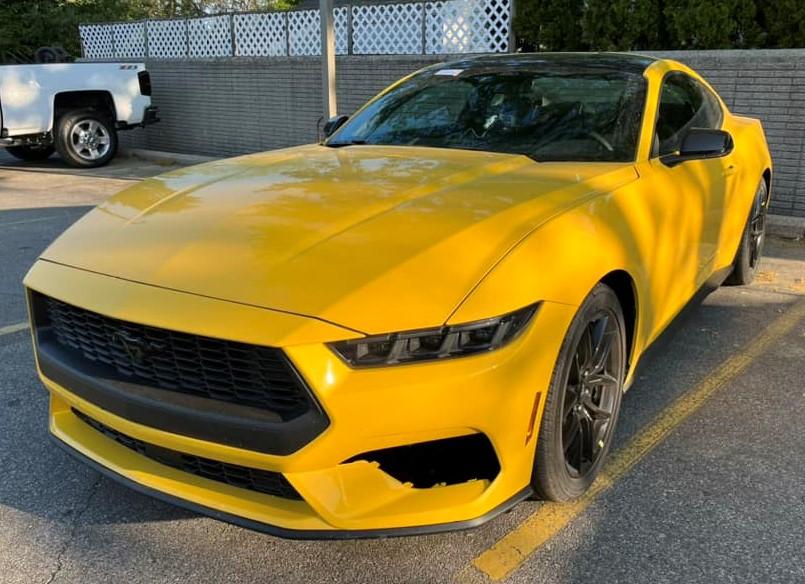 S650 Mustang Official YELLOW SPLASH Mustang S650 Thread Yellow Splash 21