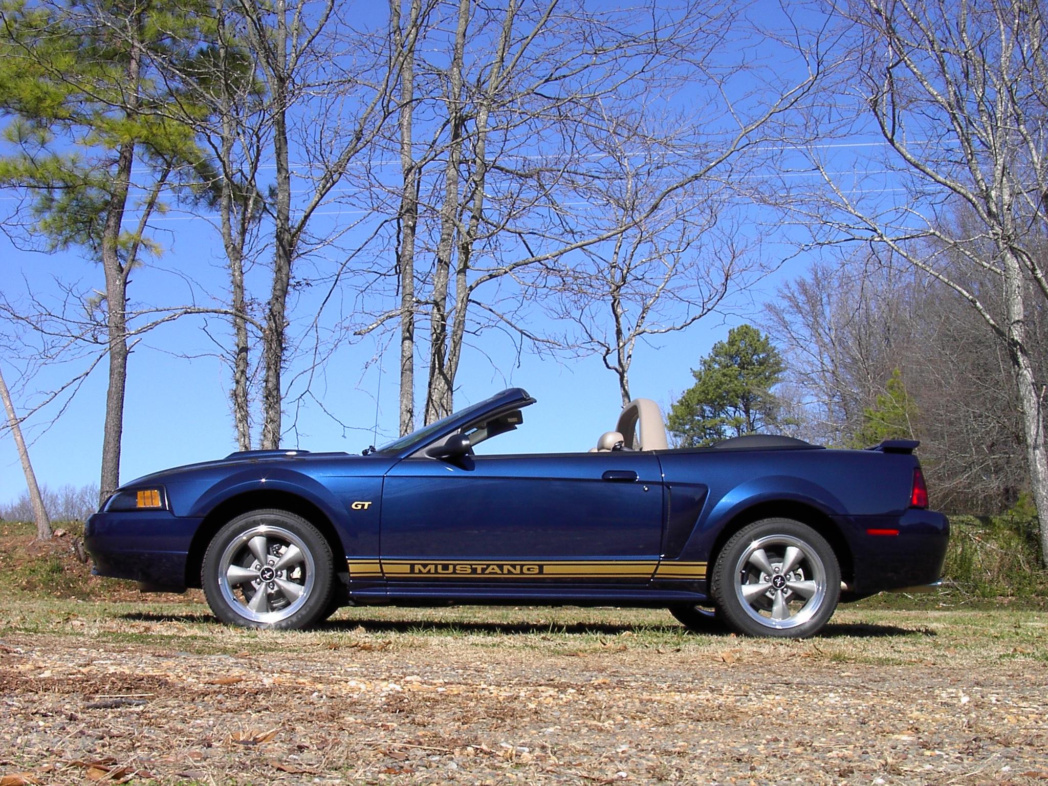 S650 Mustang Official BLUE EMBER Mustang S650 Thread IM000051.JPG
