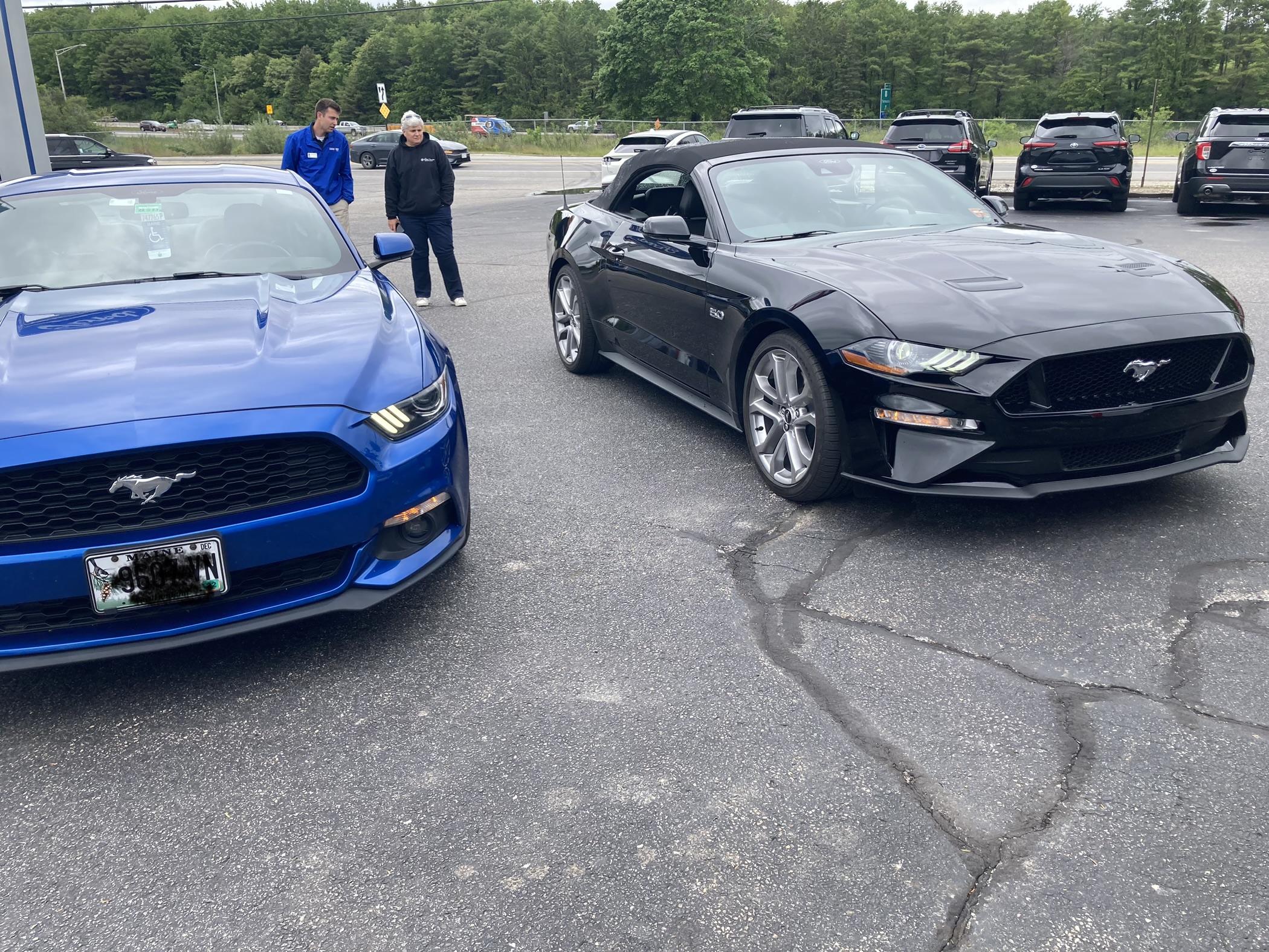 S650 Mustang Convertible? IMG_6094