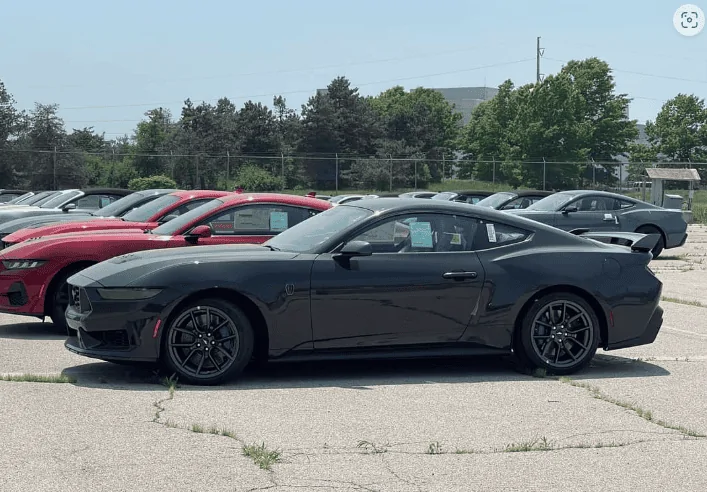 S650 Mustang 2024 cousins 2024 mustang