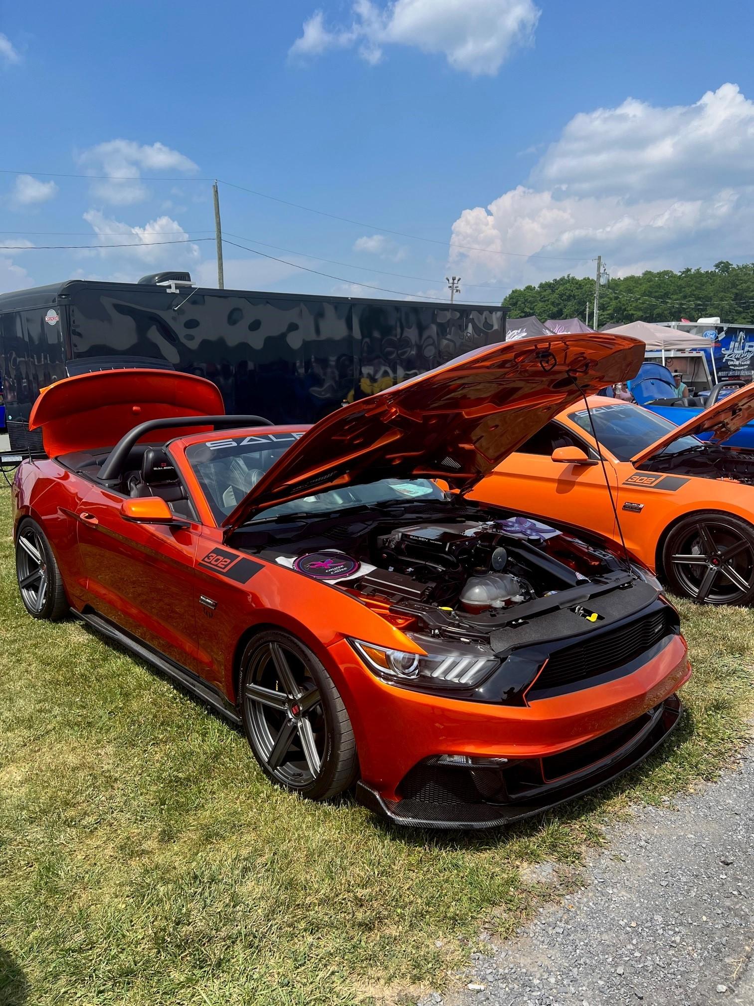 c7.jpg