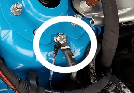 S650 Mustang Trickle charger recommendation for winter storage. skye tender 2