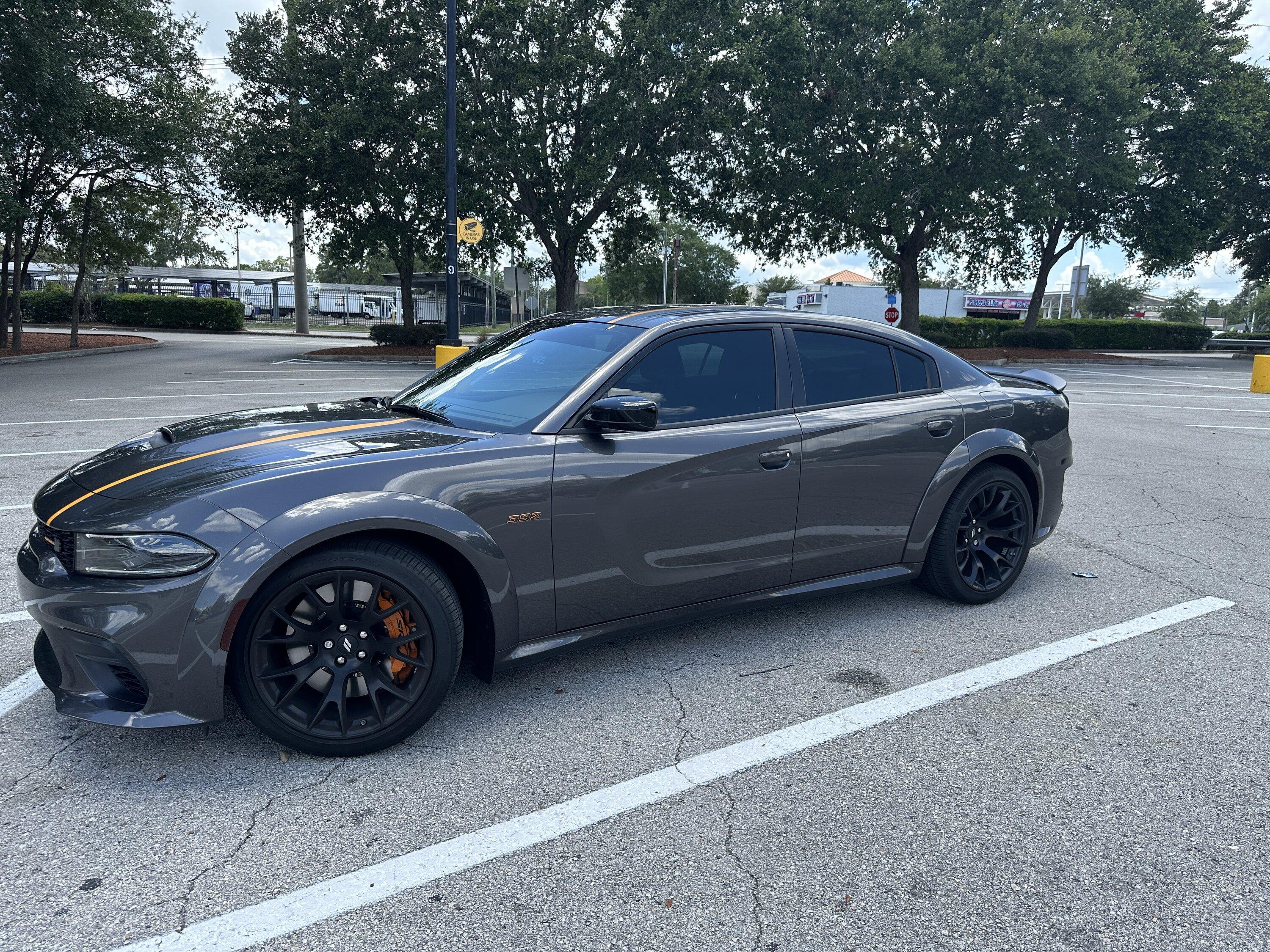S650 Mustang From This to That S650 (Photos Edition) IMG_8435