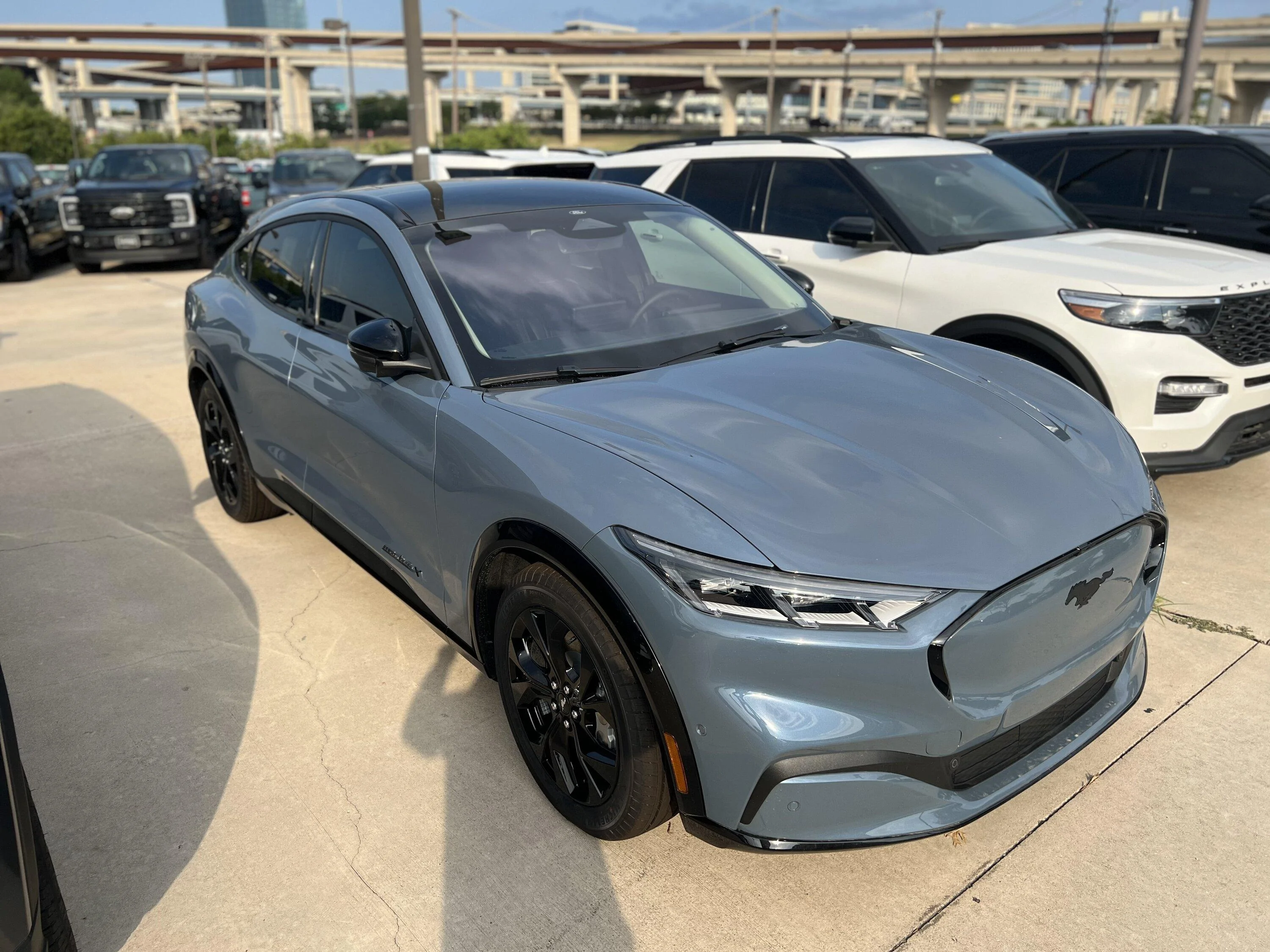 S650 Mustang Official VAPOR BLUE Mustang S650 Thread B2C30DD0-A445-4FBB-AFCC-53254DCBC3A7