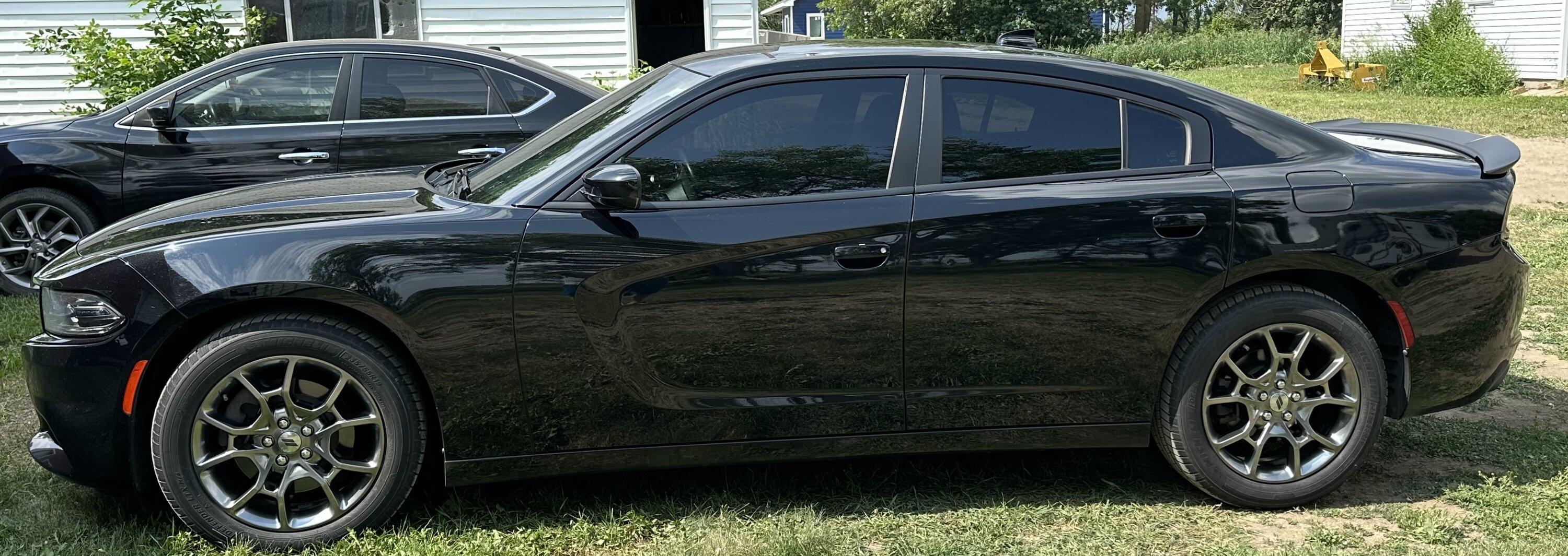 S650 Mustang From This to That S650 (Photos Edition) IMG_0757