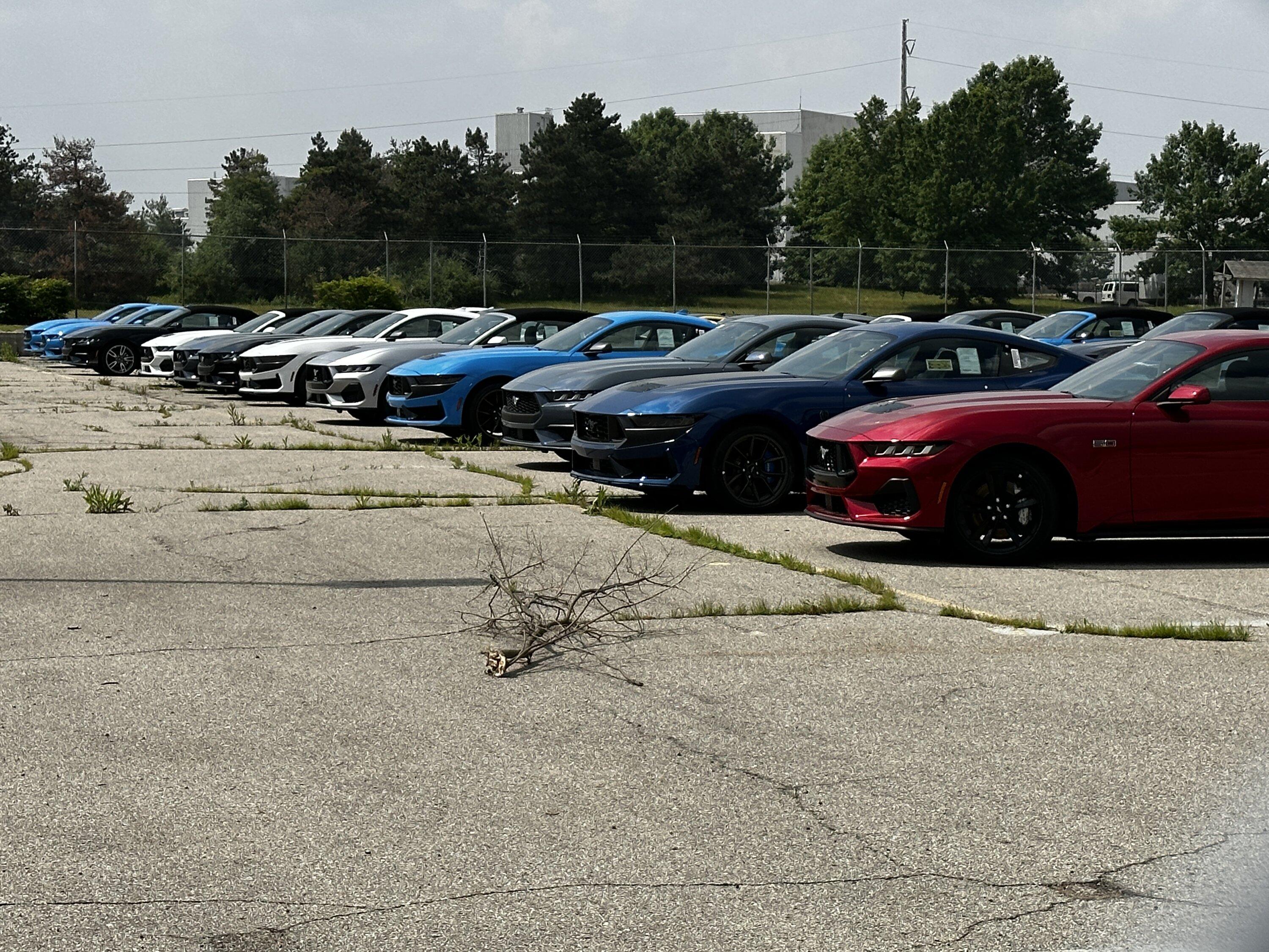 S650 Mustang Delivery starts tomorrow!! (says Ford Chat) IMG_0766