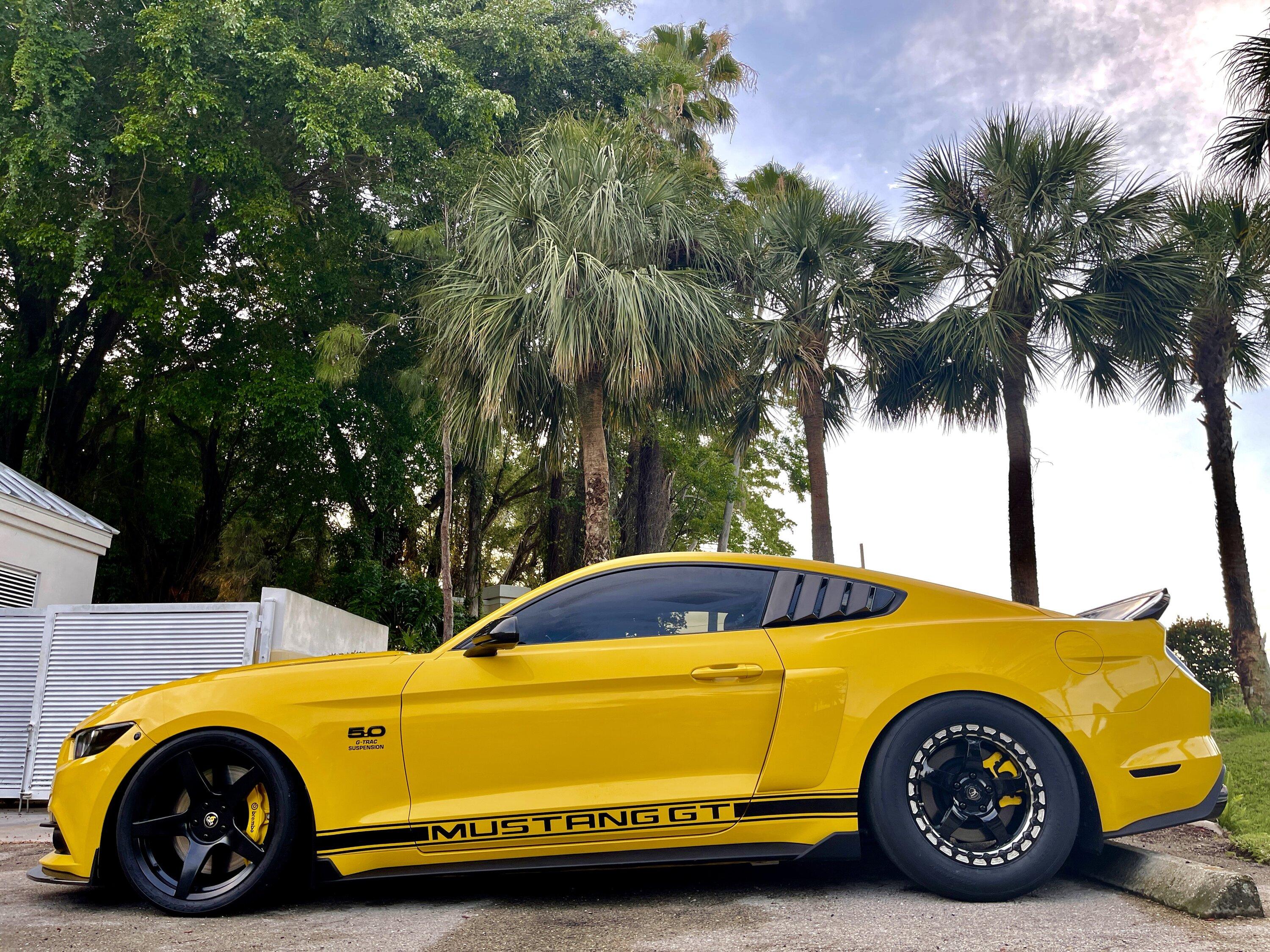 S650 Mustang Those with the GT PP, are you keeping the stock tires? IMG_7548