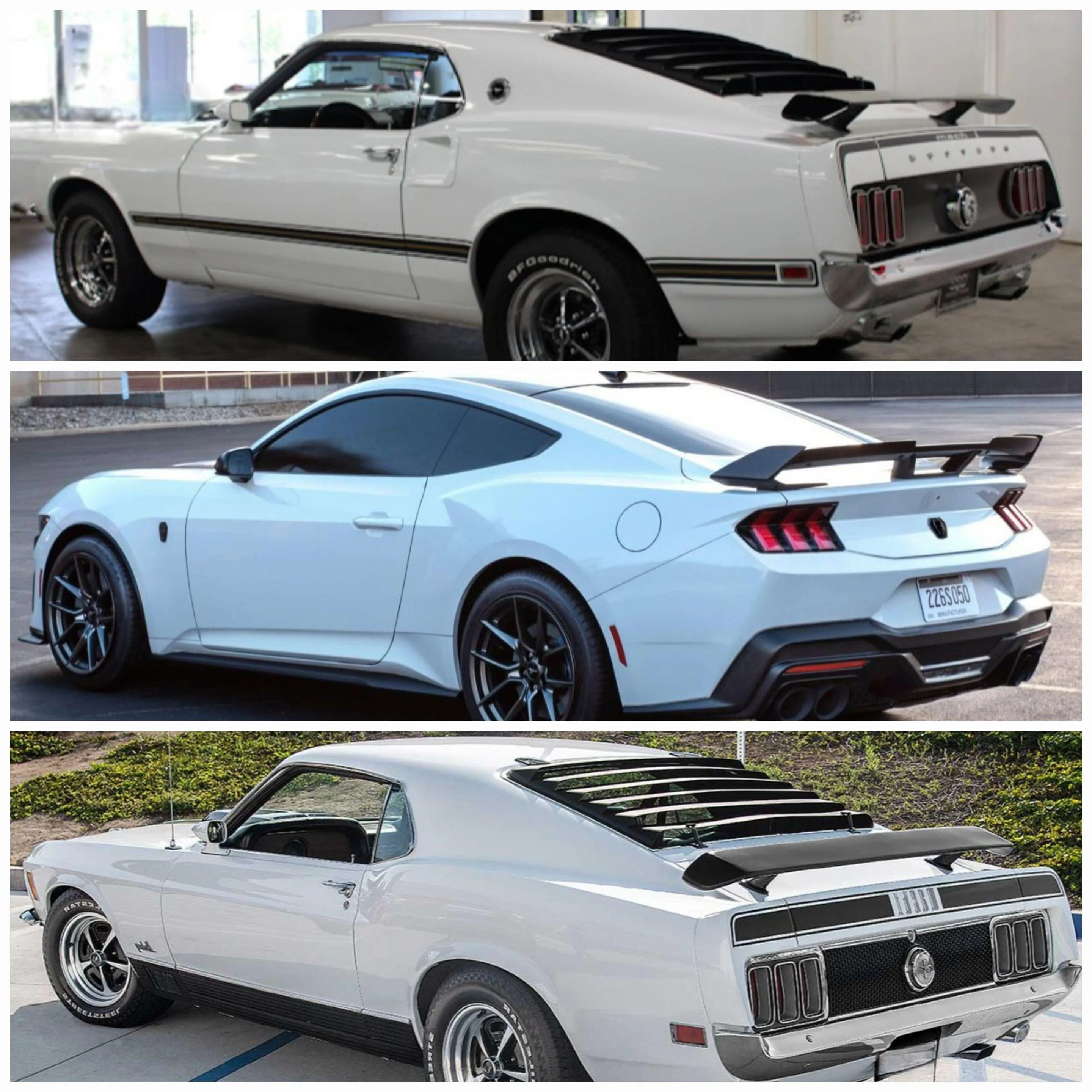 Mustang Compare.jpg