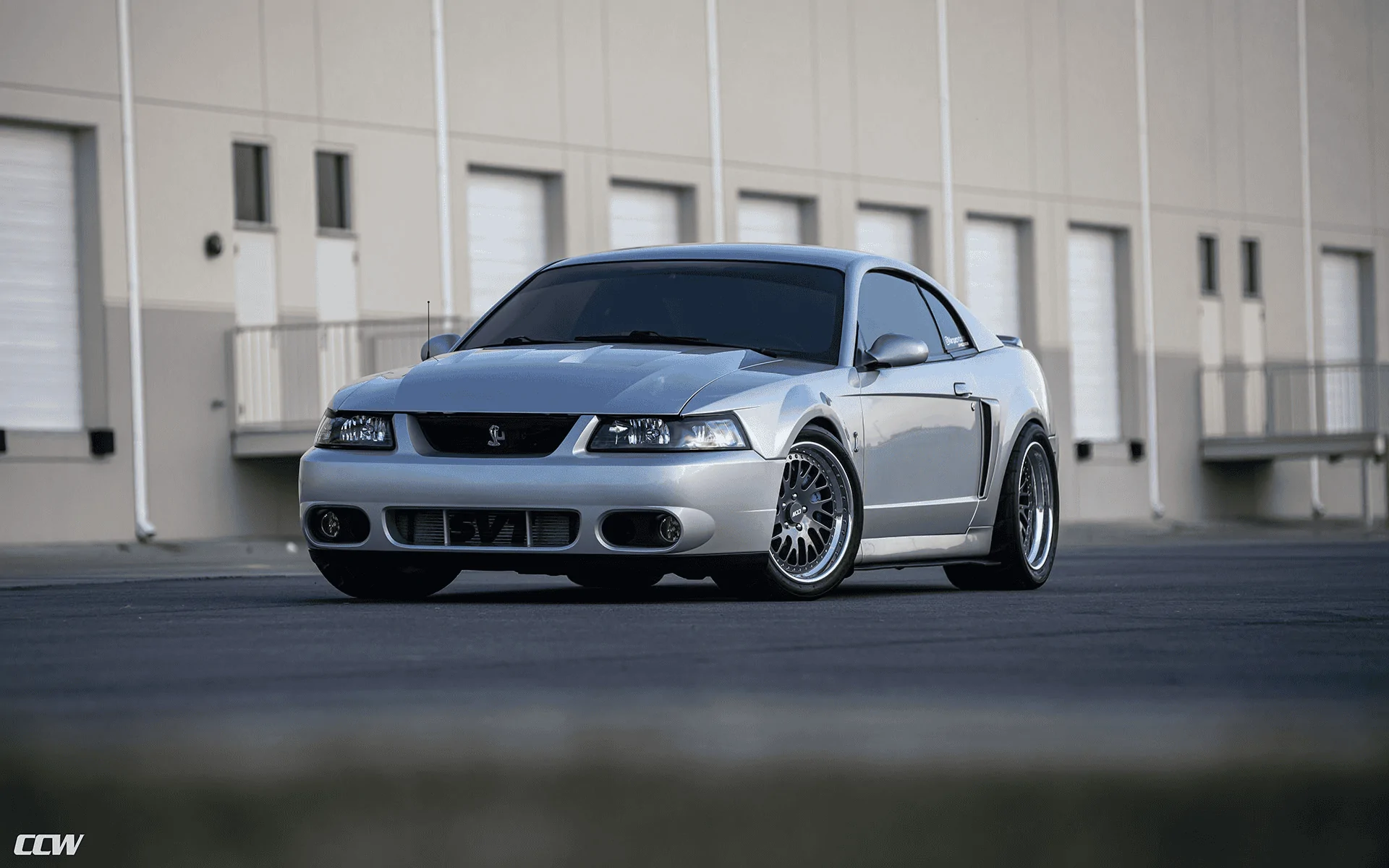 S650 Mustang How many Mustangs have you had? (a funny story) 1690411217695