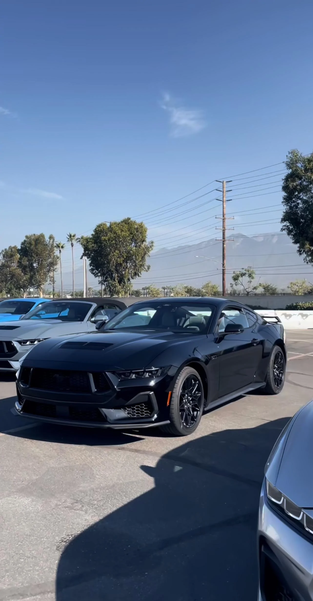 S650 Mustang Official SHADOW BLACK Mustang S650 Thread IMG_9767