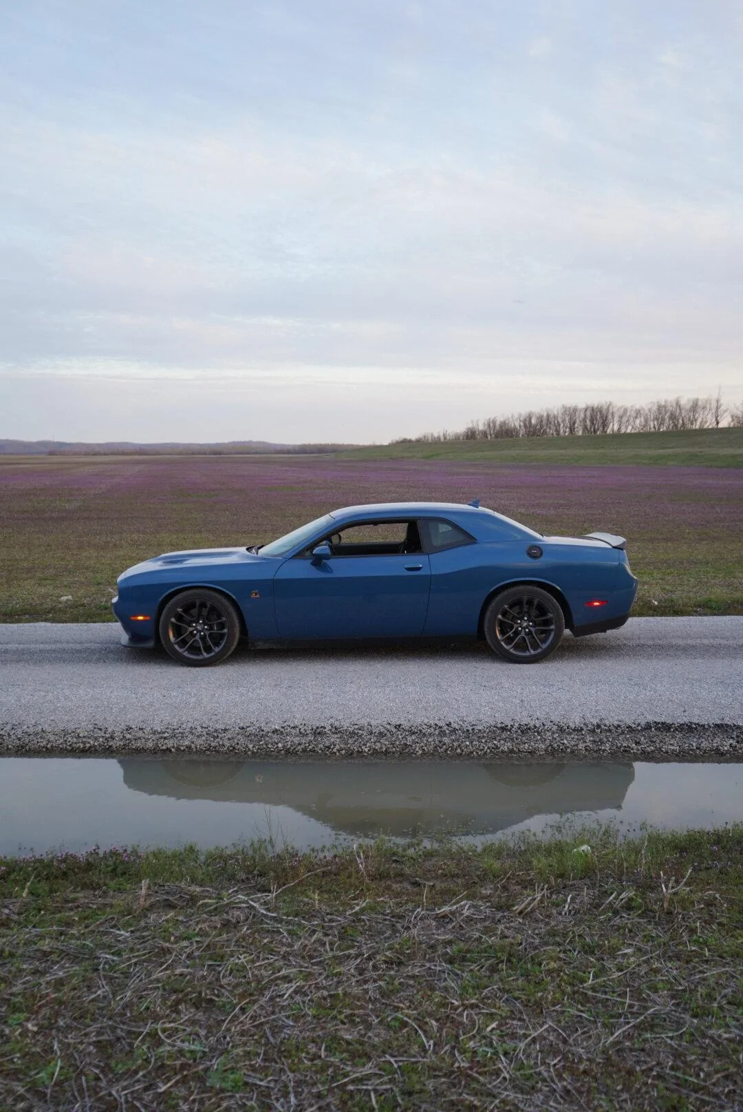 S650 Mustang Challenger or S650 DSC01254