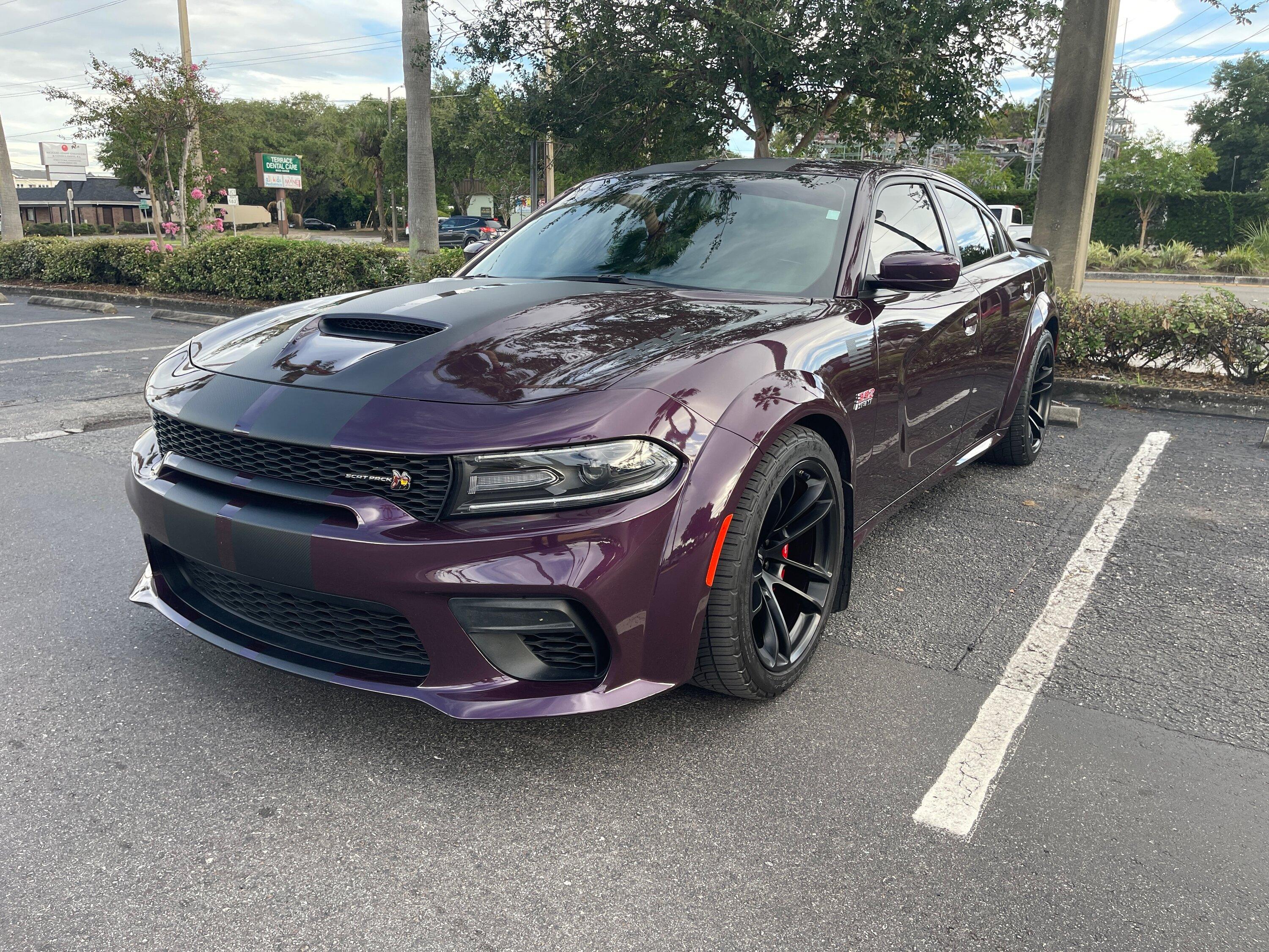 S650 Mustang Challenger or S650 IMG_2291
