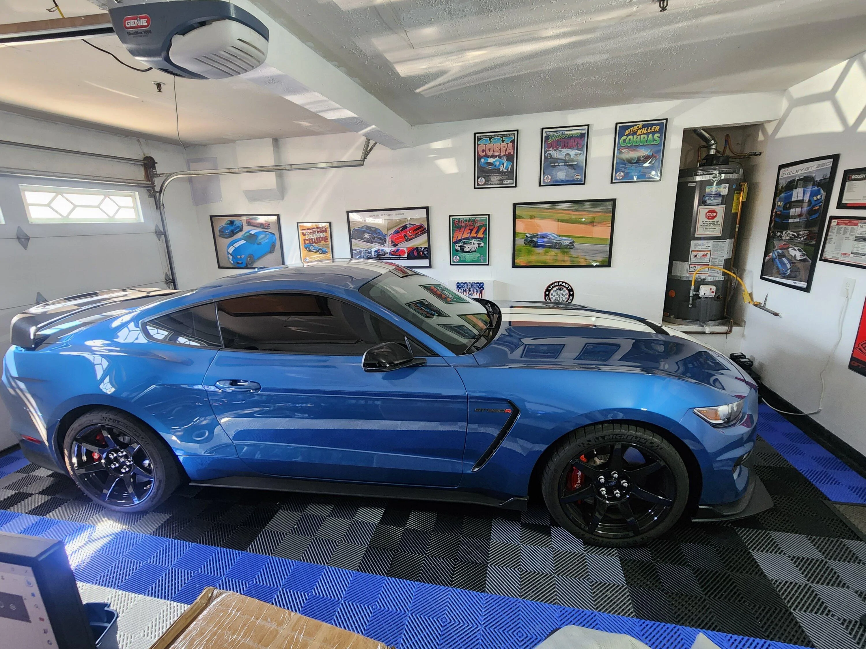S650 Mustang Dark Horse garage wall art 20230718_094717