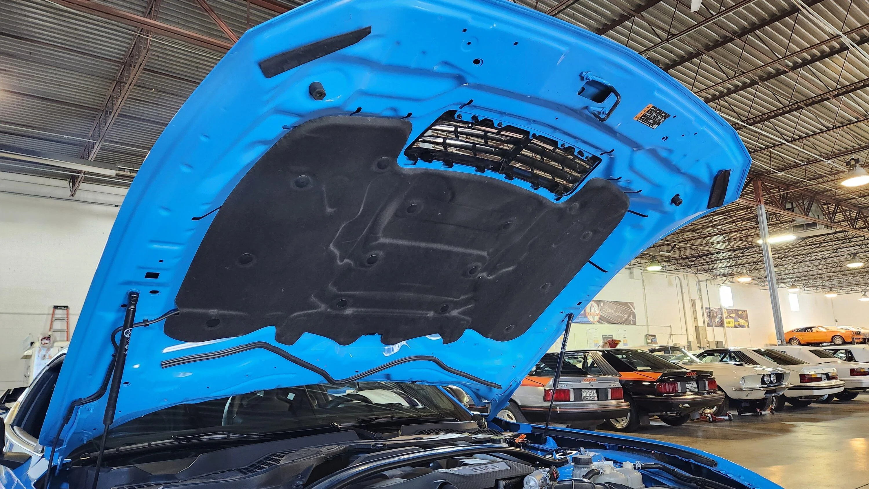 S650 Mustang Official GRABBER BLUE Mustang S650 Thread 20230818_112351