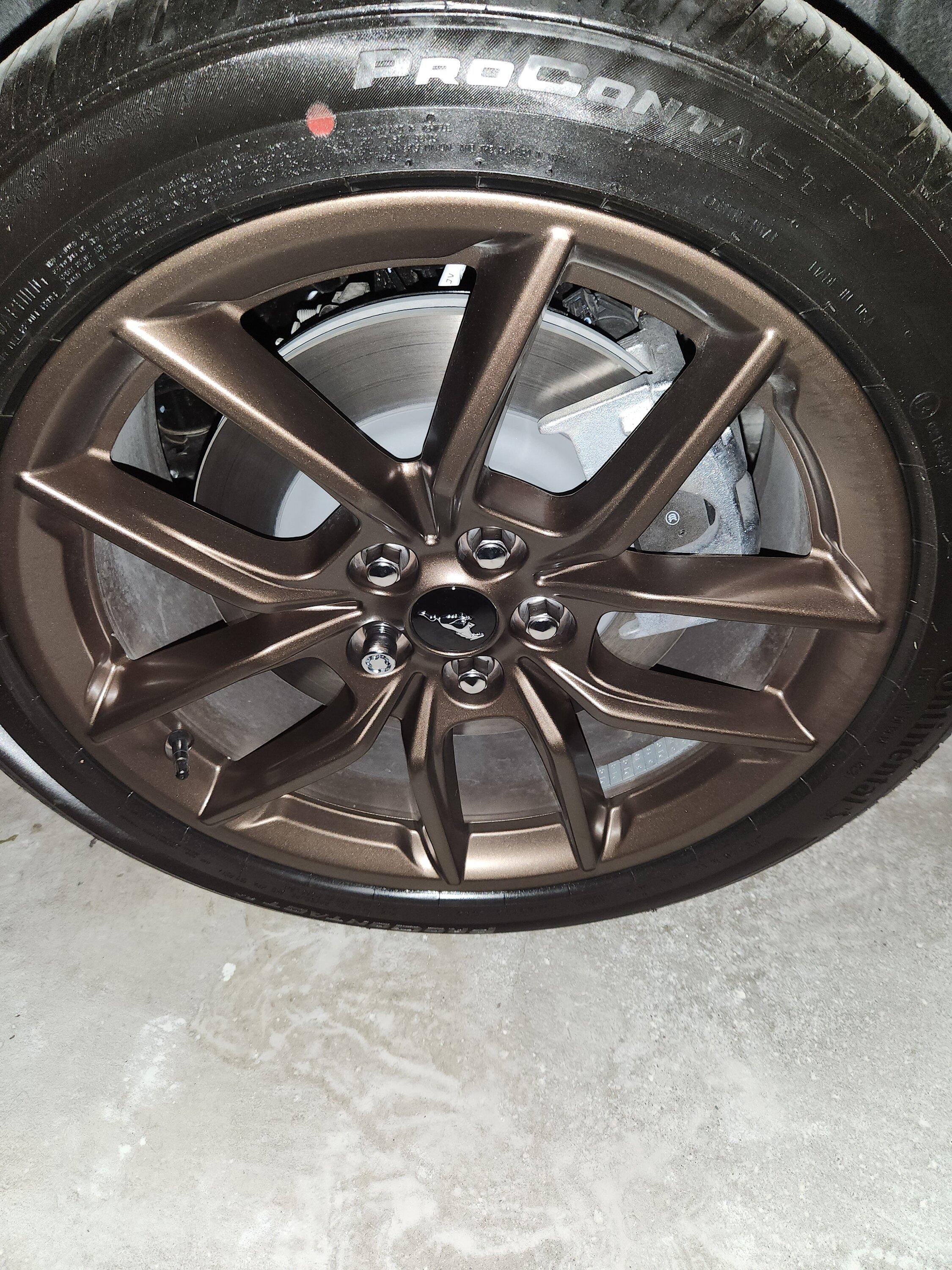 S650 Mustang BUILT & SHIPPED !! Tracker update 2023: What's your status? 20230818_212441