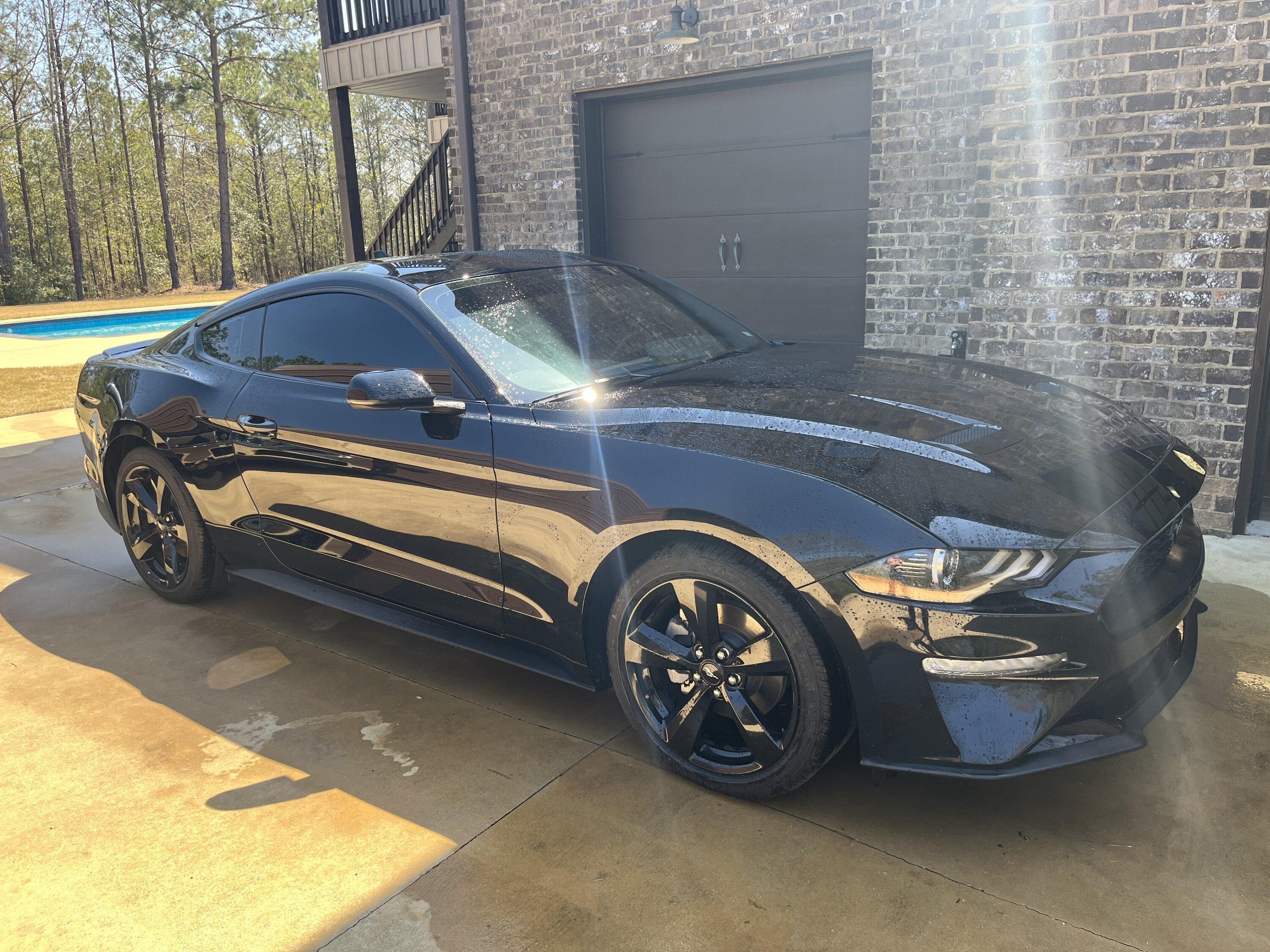 S650 Mustang Tint Ideas IMG_5924