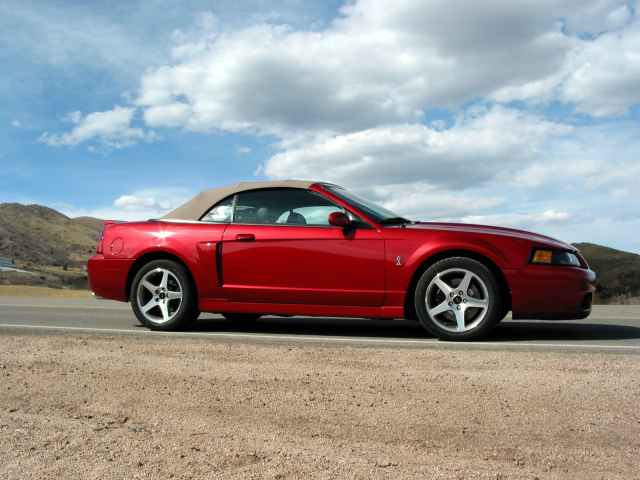 S650 Mustang Antzman’s GT Premium Convertible delivered! For Sale 2003 Mustang Cobra