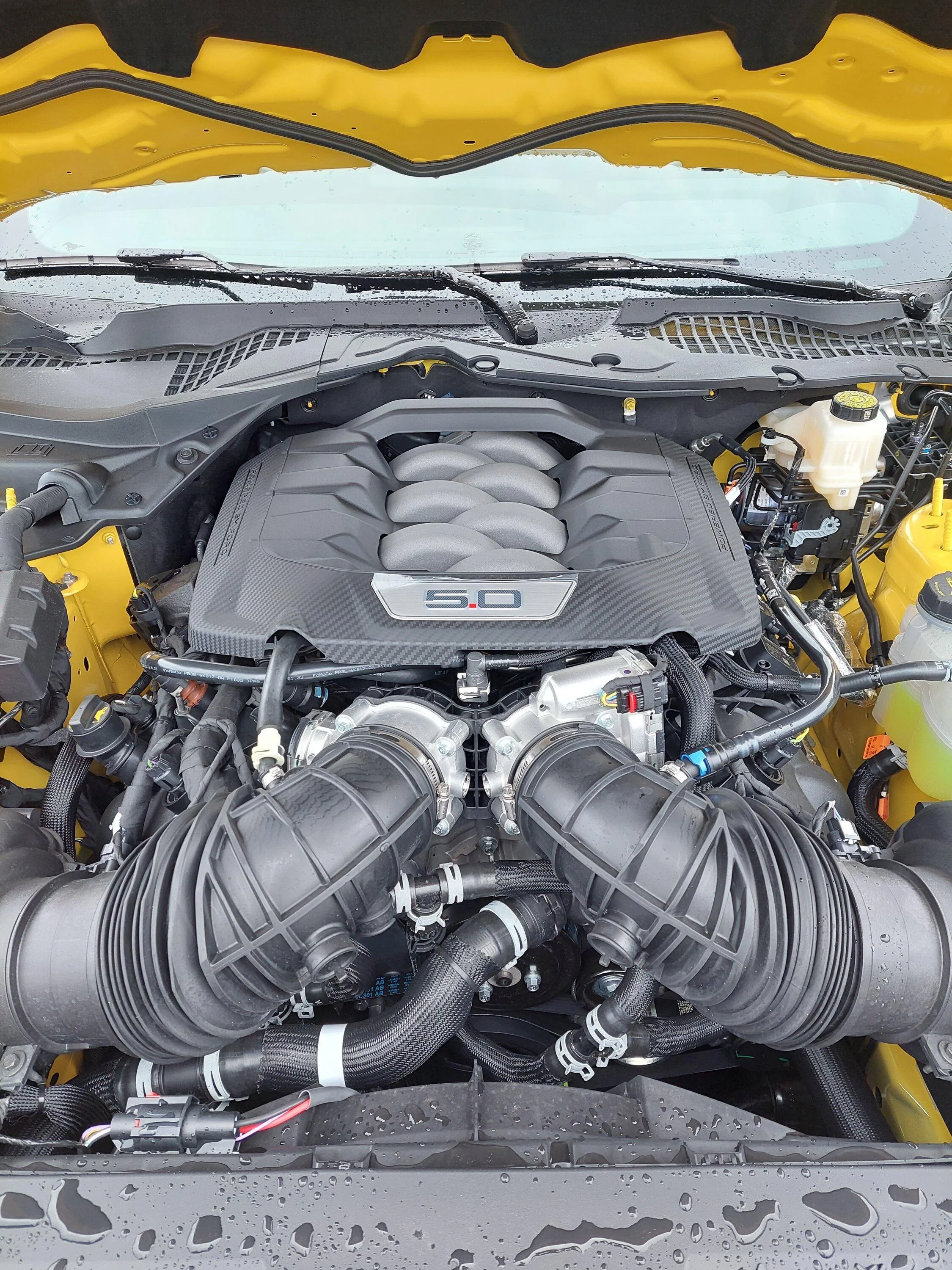 S650 Mustang First 2024 Mustang GT Canadian Order Delivered! 20230823_133459