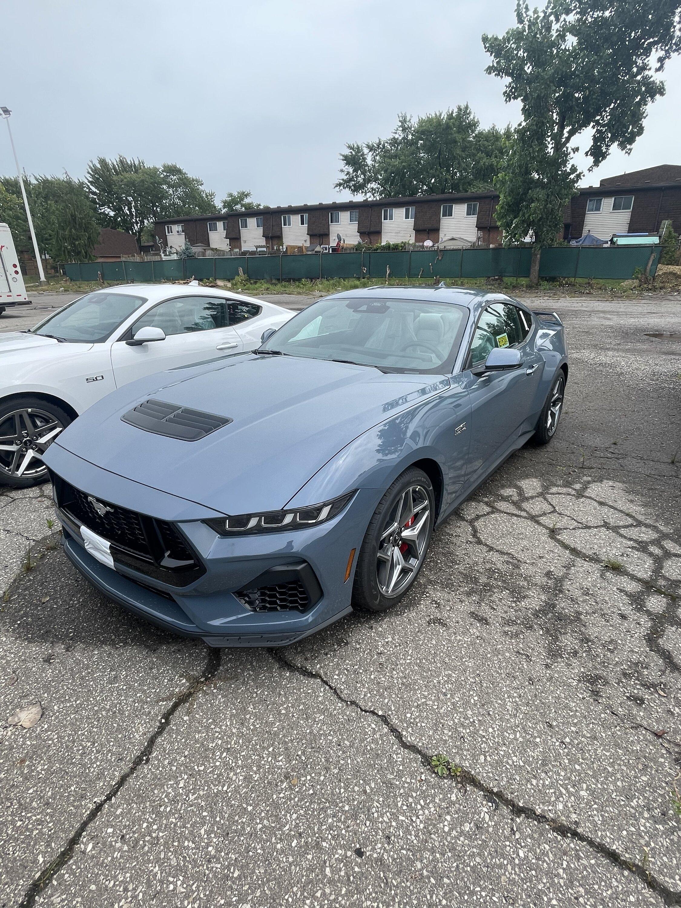 S650 Mustang Official VAPOR BLUE Mustang S650 Thread BFFCC9AD-F241-40D1-814F-1955EA475C88