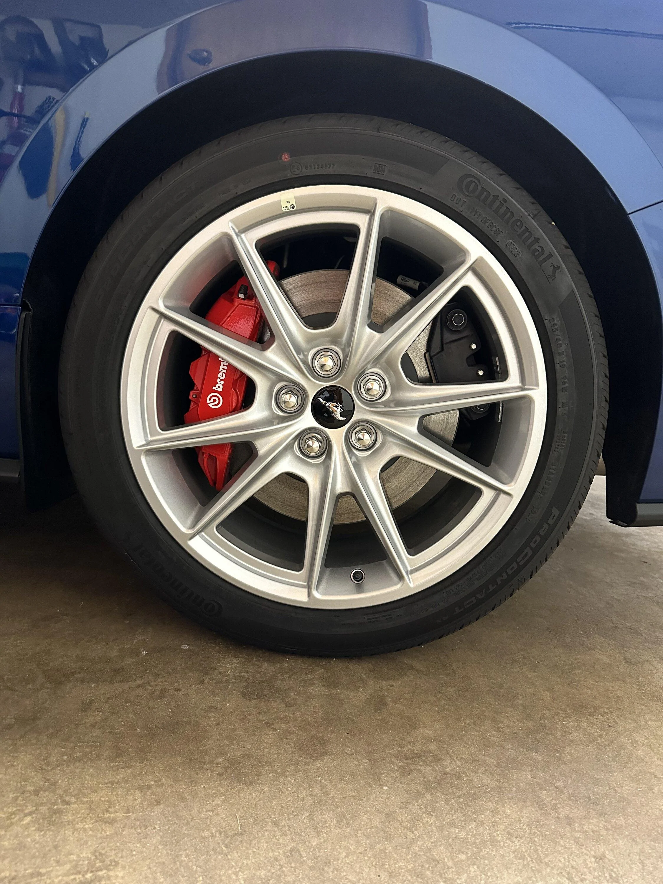 S650 Mustang Official ATLAS BLUE Mustang S650 Thread IMG_1696