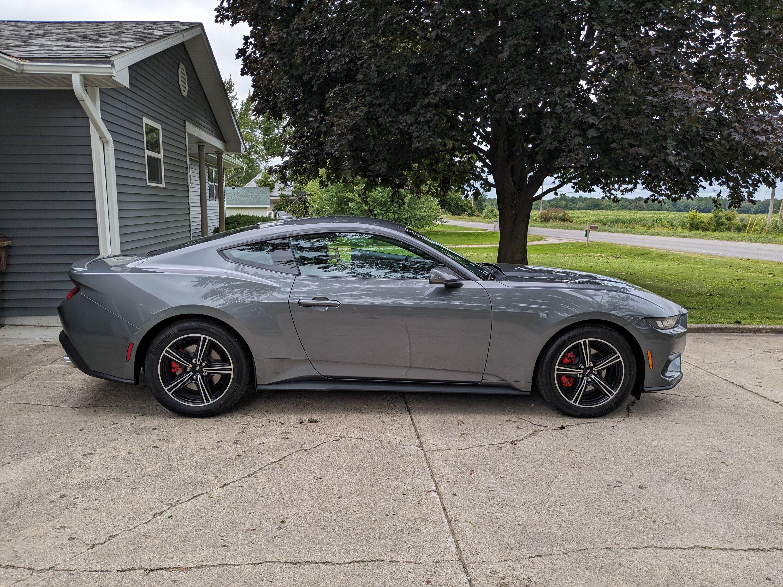 S650 Mustang BUILT & SHIPPED !! Tracker update 2023: What's your status? PXL_20230826_172041792
