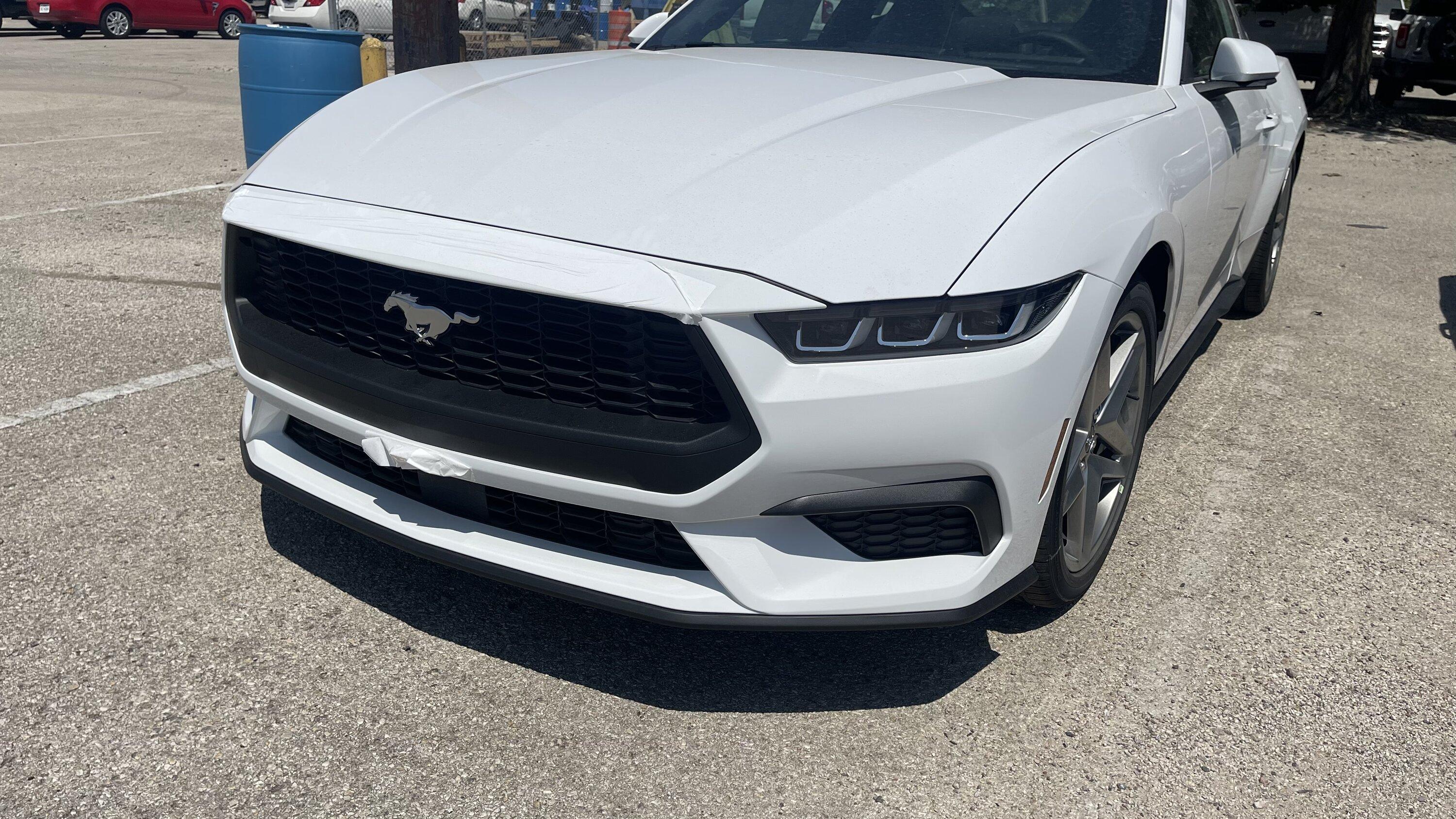 S650 Mustang S650 in Houston @ Tomball Ford 2B2EA3EB-B52C-4C36-8694-BBABF0D88662