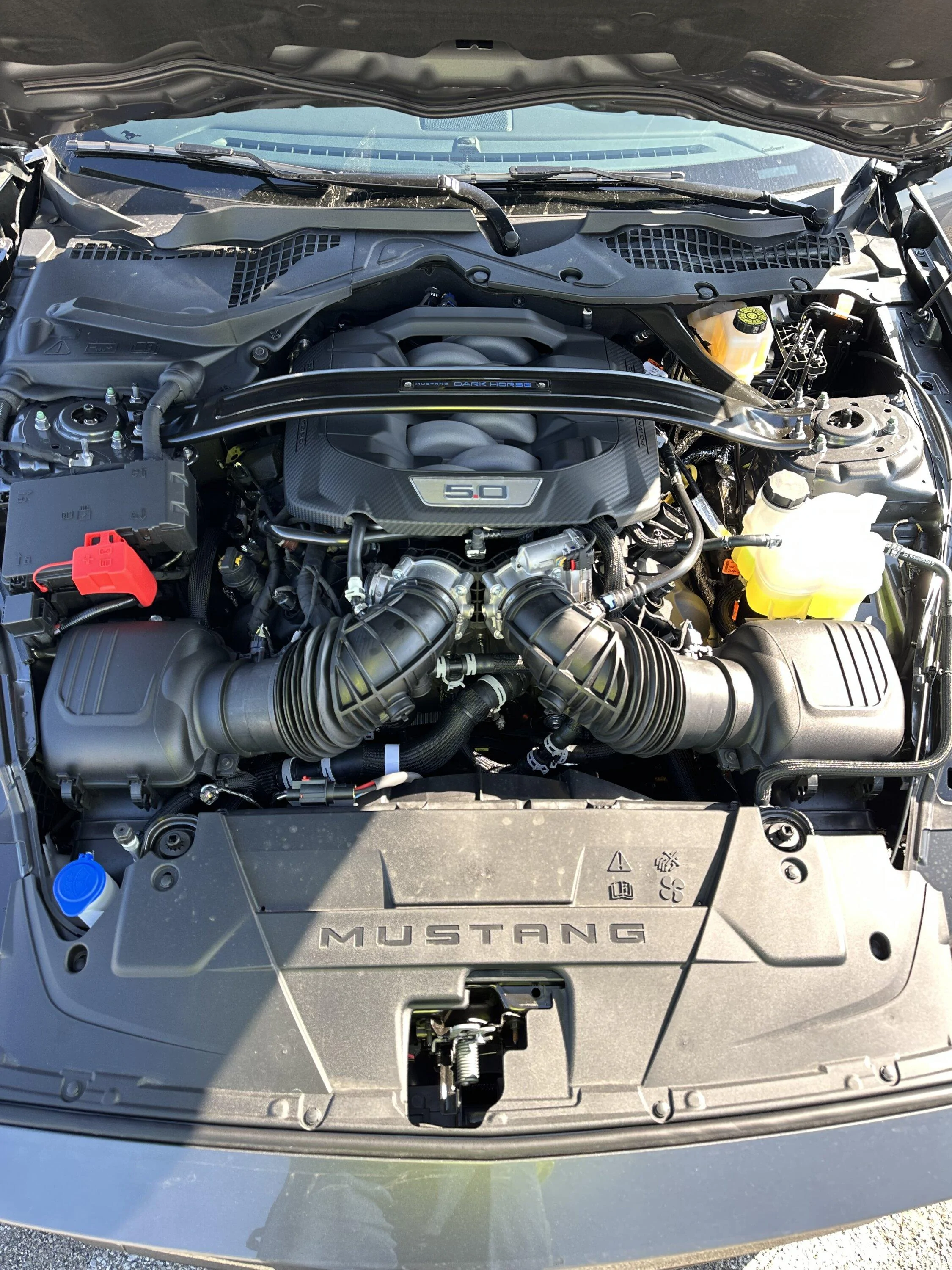 S650 Mustang My 2024 Dark Horse arrived at dealer ahead of schedule (first photos) IMG_1629