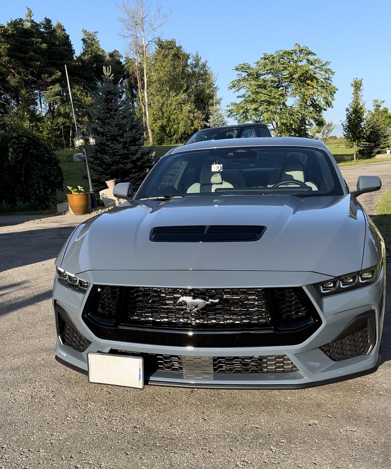 S650 Mustang No Drill - Front Plate Mount - Questions IMG_6065