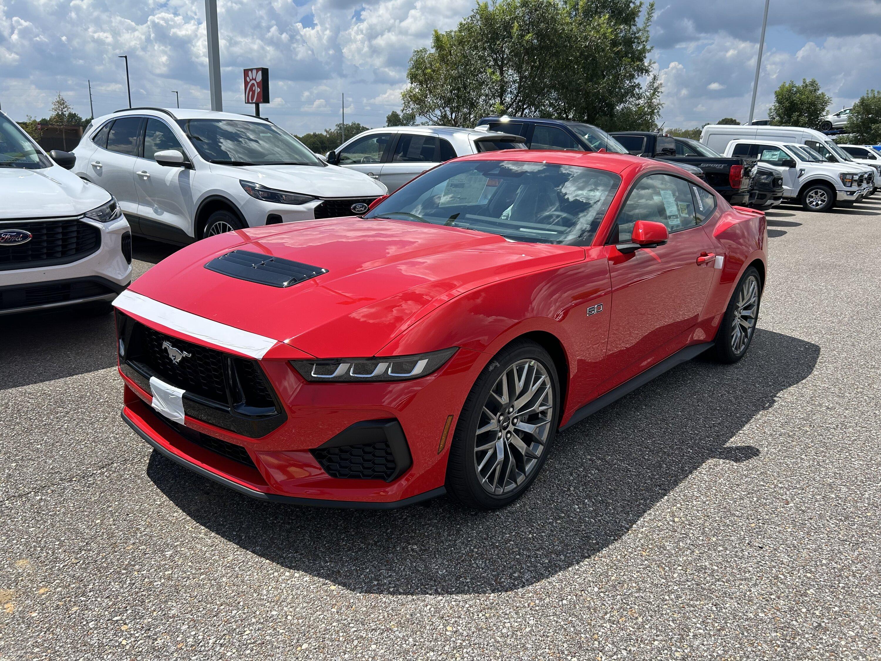 S650 Mustang Dealer just unexpectedly received 4 GTs!! IMG_1641