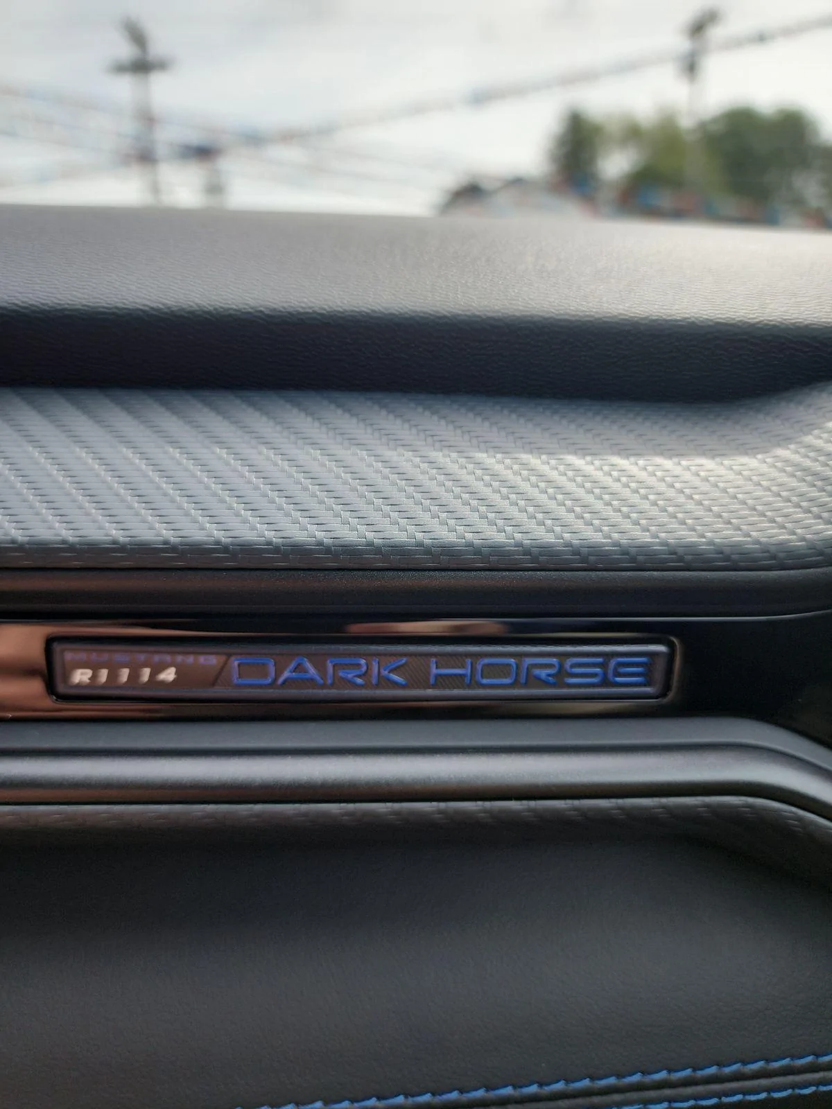 S650 Mustang Blue Ember Dark Horse arrived! IMG_20230830_114930_01