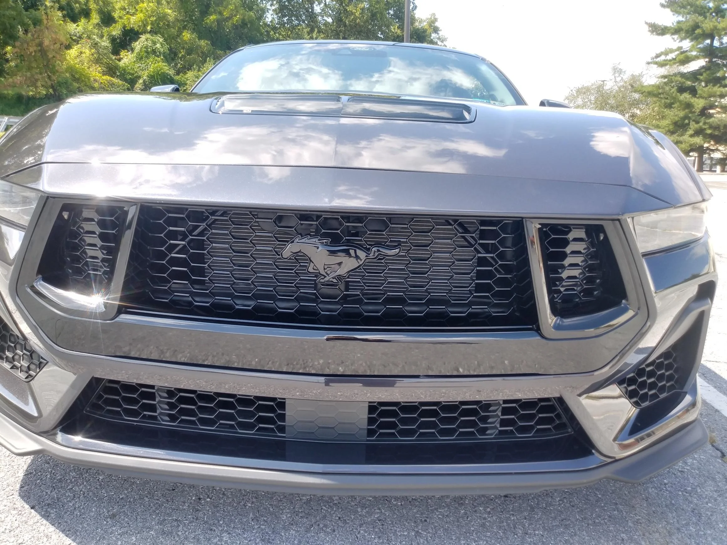 S650 Mustang BUILT & SHIPPED !! Tracker update 2023: What's your status? 20230830_125312_HDR_resized