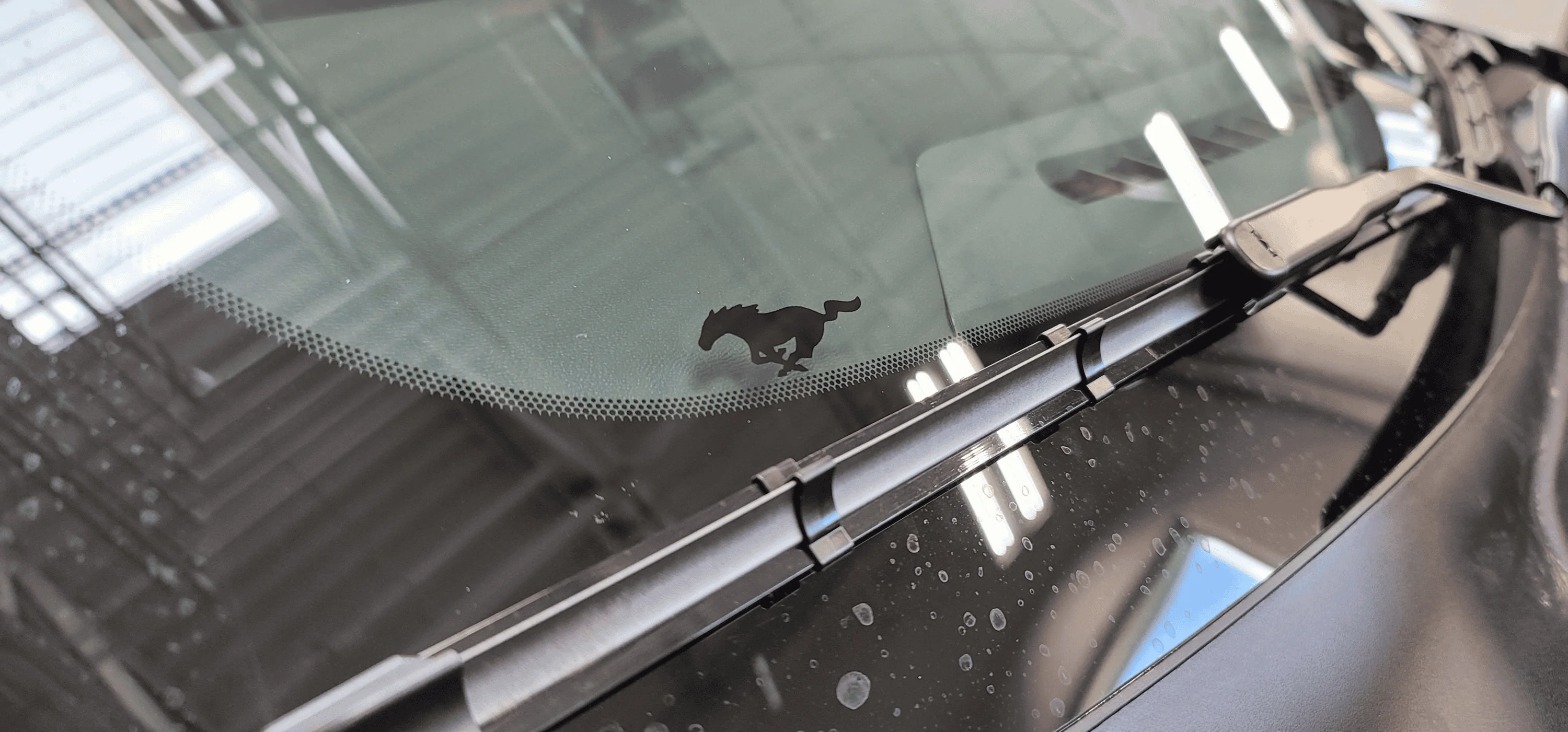 S650 Mustang First 2024s arriving at dealers in AZ 1693428608757