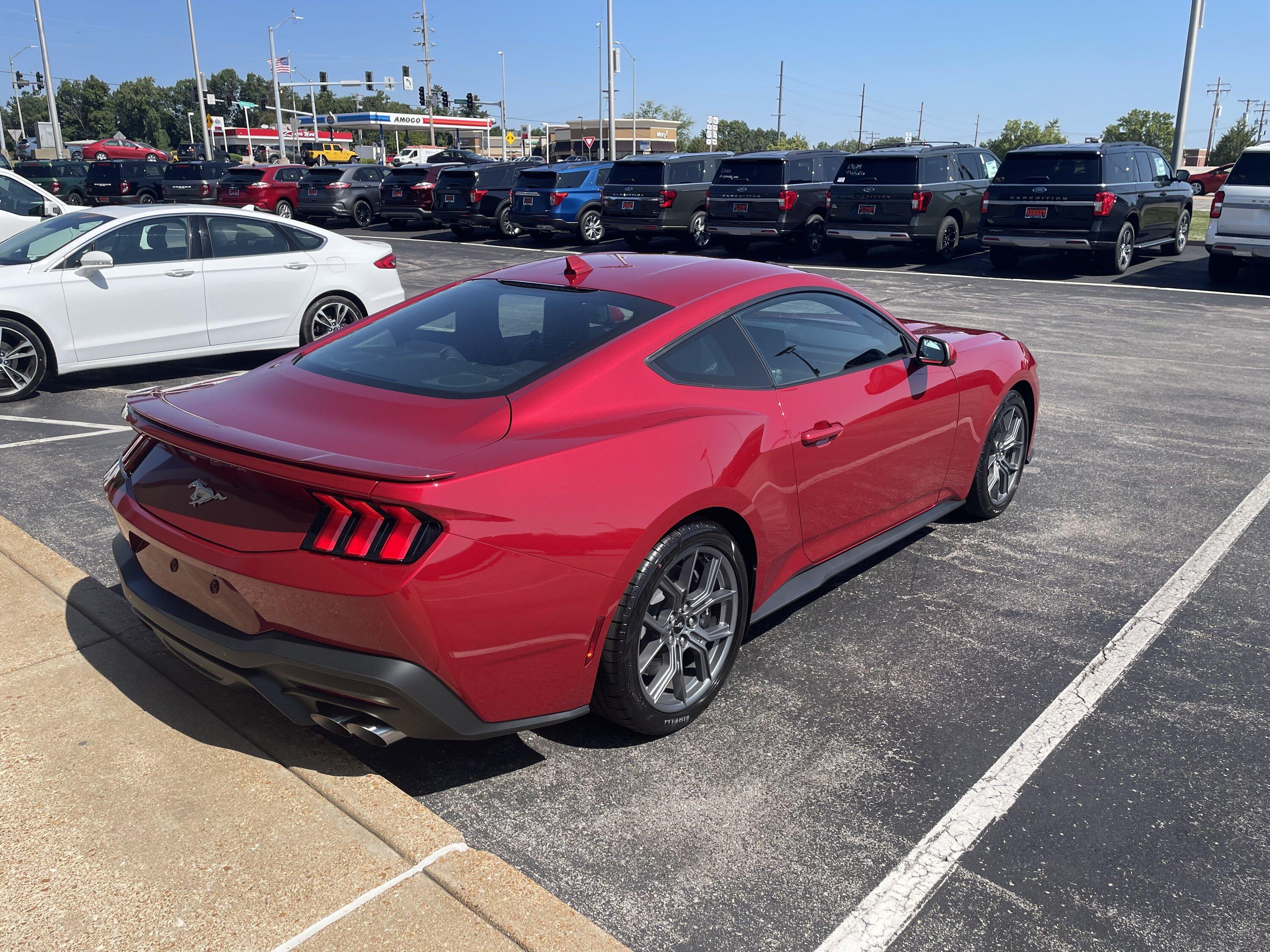 S650 Mustang What would you do? IMG_1348