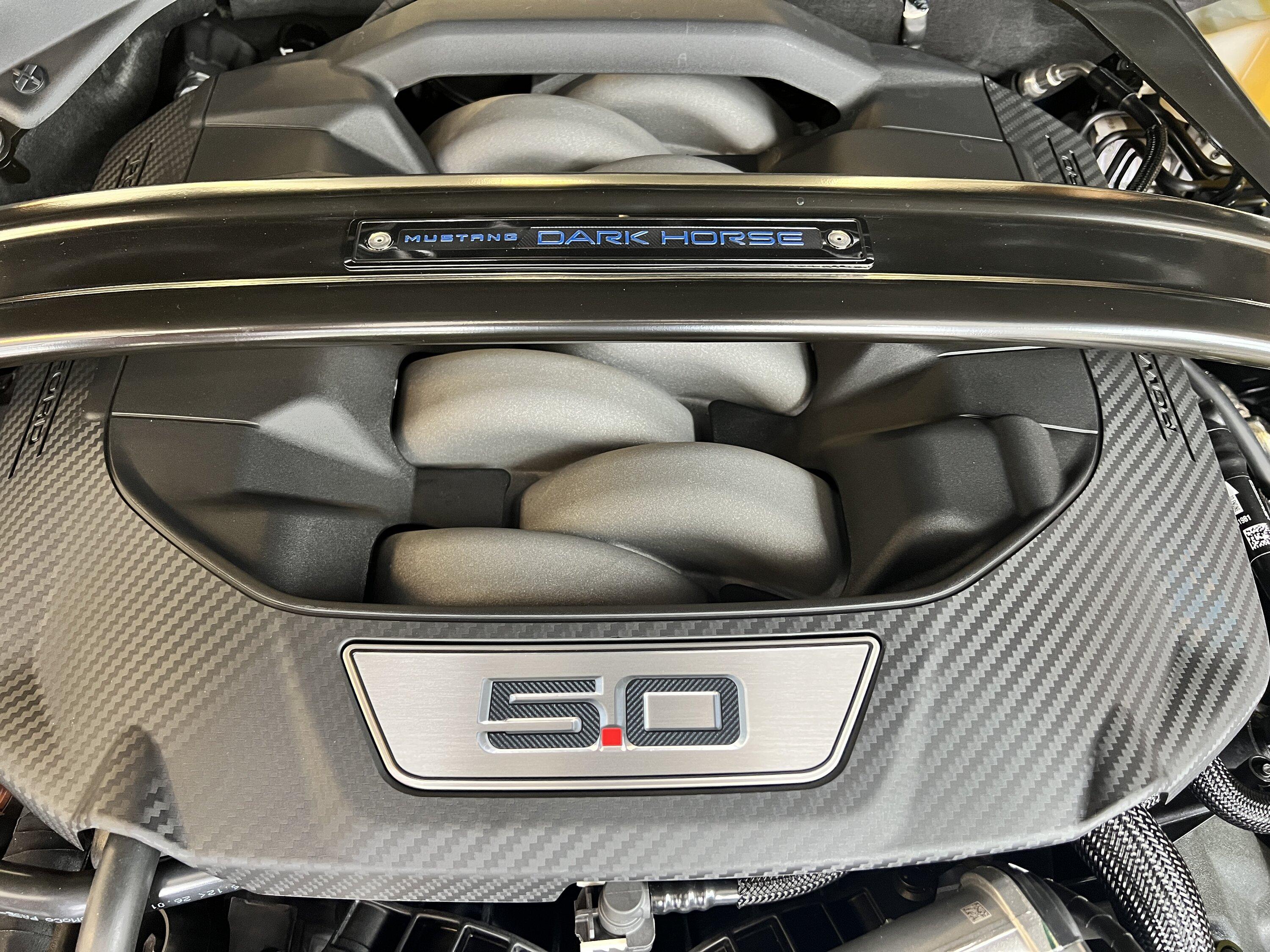 S650 Mustang Blue Ember Dark Horse arrived! IMG_2381