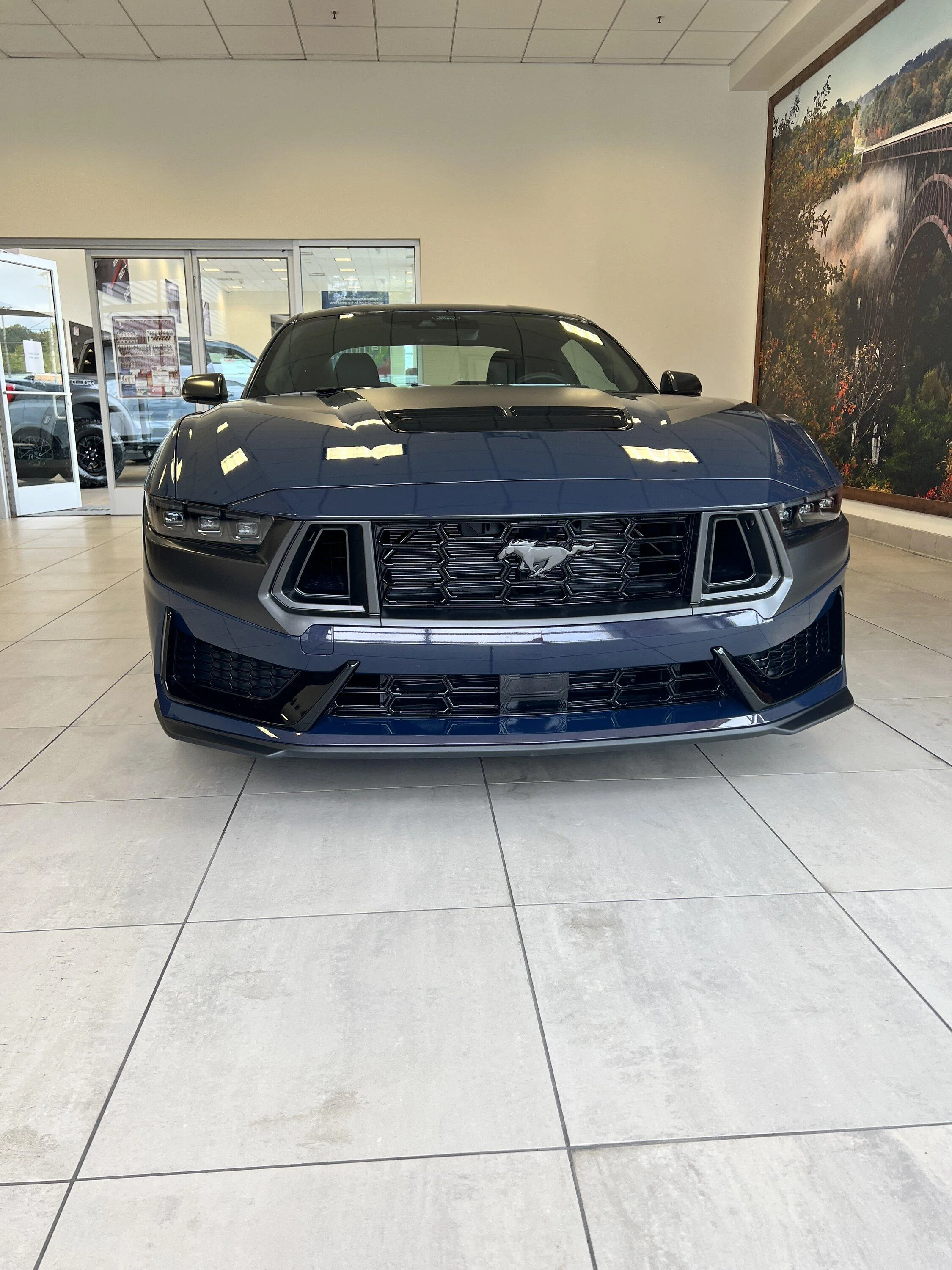 S650 Mustang Blue Ember Dark Horse arrived! IMG_2372