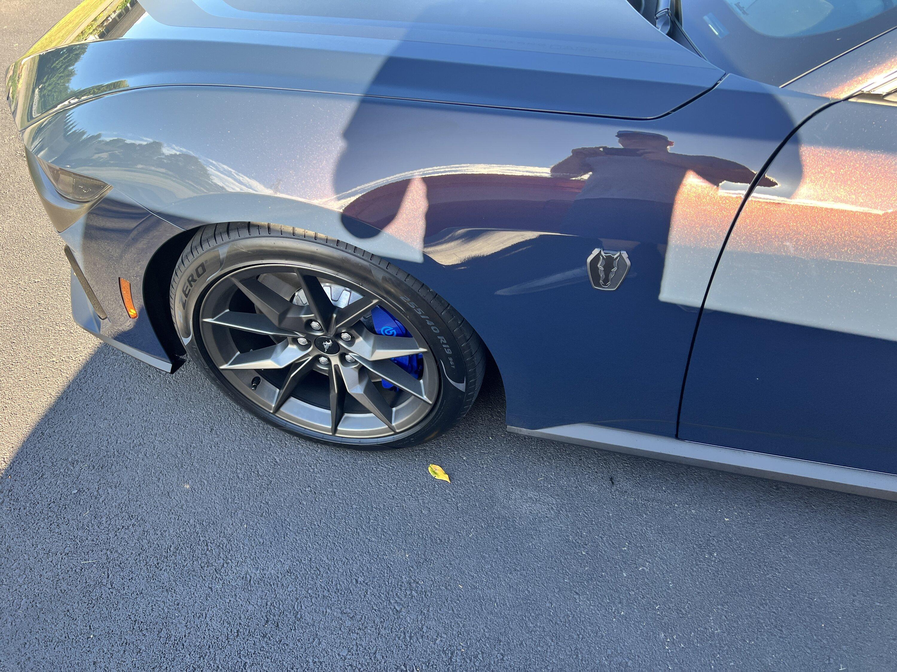 S650 Mustang Blue Ember Dark Horse arrived! IMG_2415.JPG