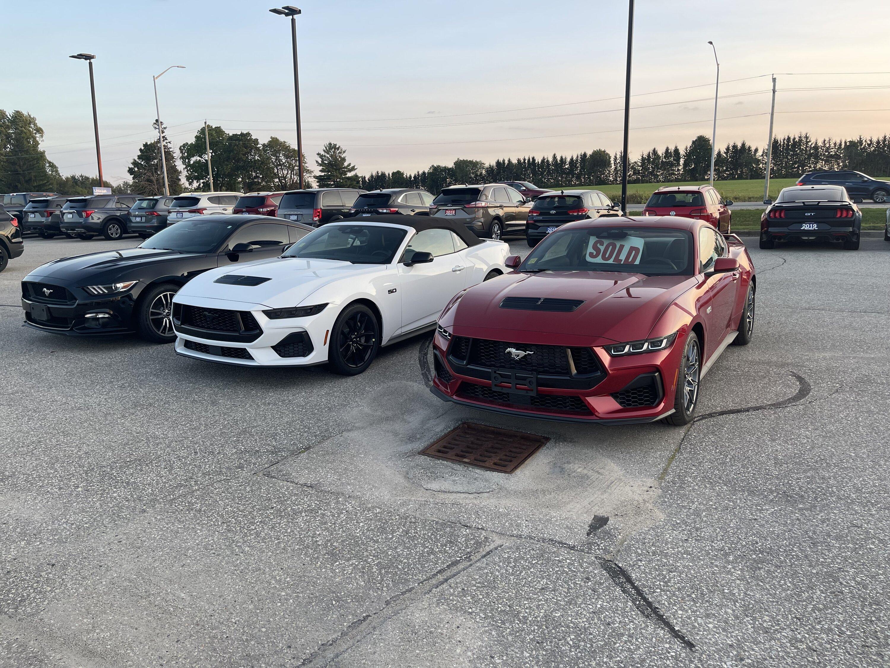 S650 Mustang Just wow! White GT convertible spotted IMG_0872