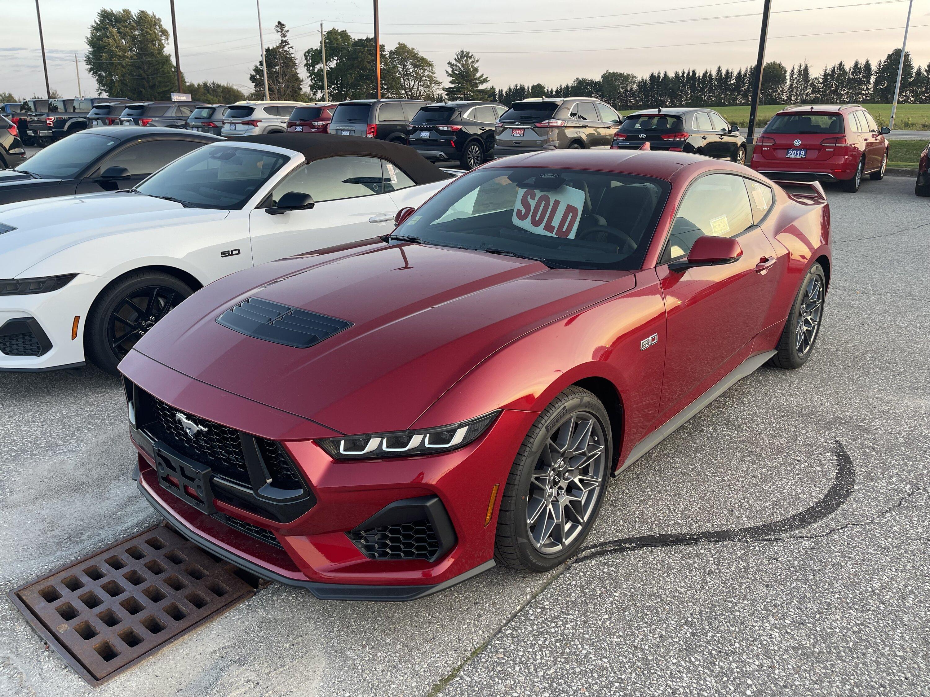 S650 Mustang Just wow! White GT convertible spotted IMG_0863