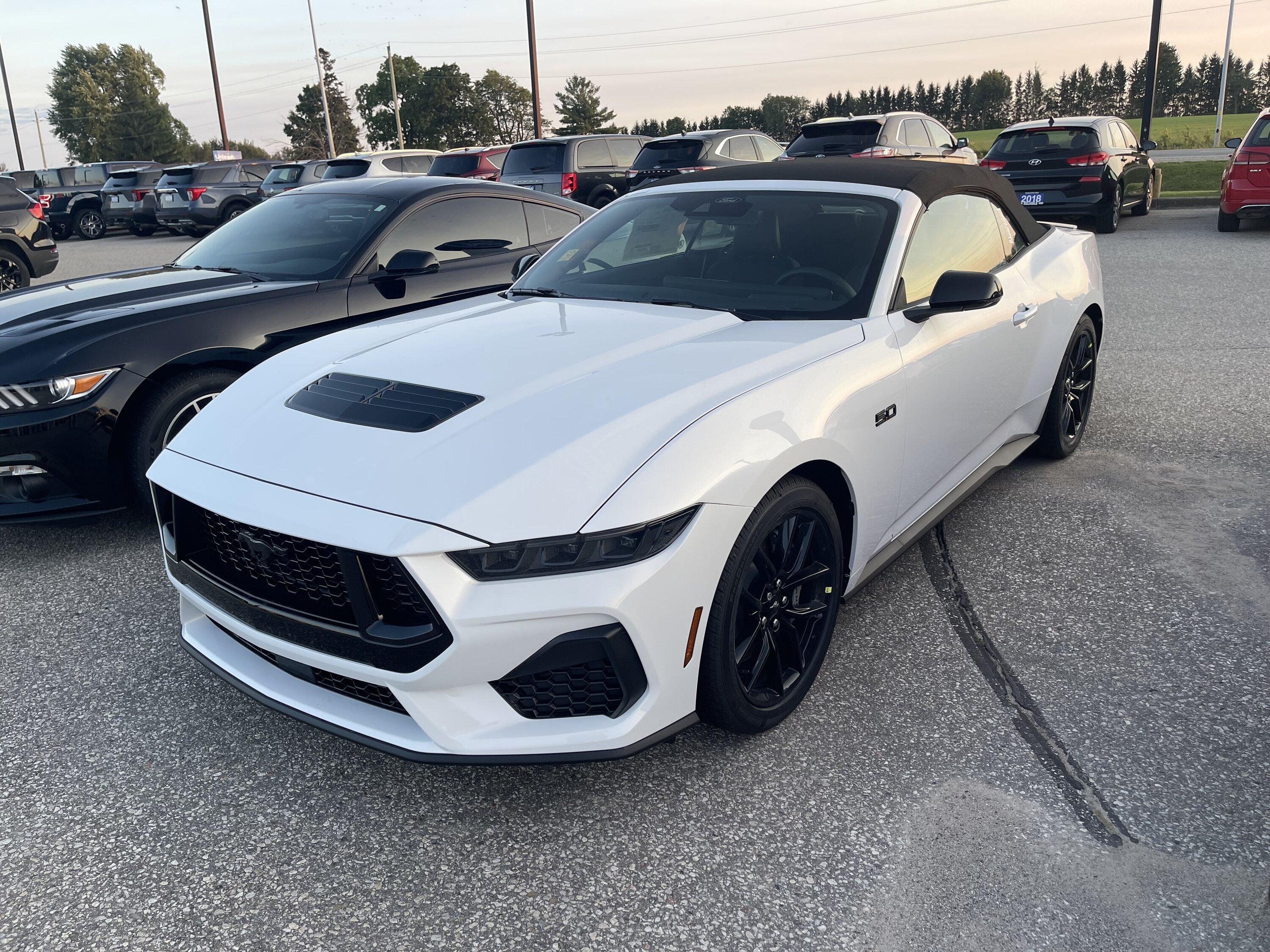 S650 Mustang Official OXFORD WHITE Mustang S650 Thread img_0865-jpe