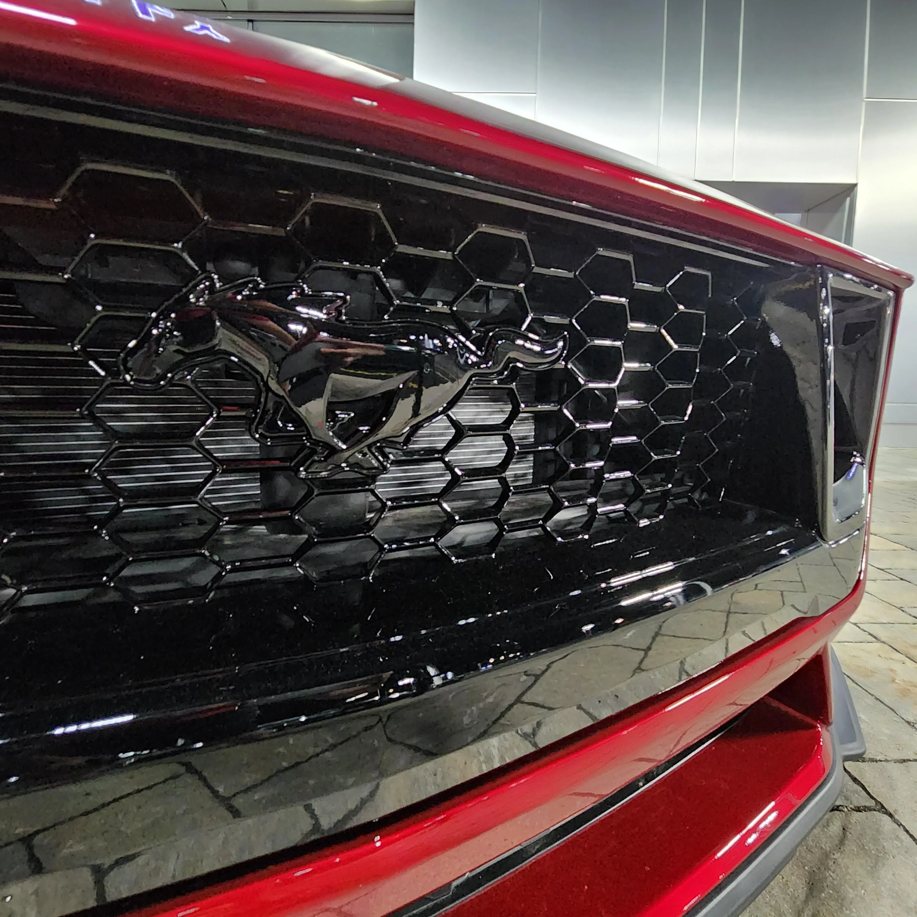 S650 Mustang Official RAPID RED Mustang S650 Thread 20230901_002538