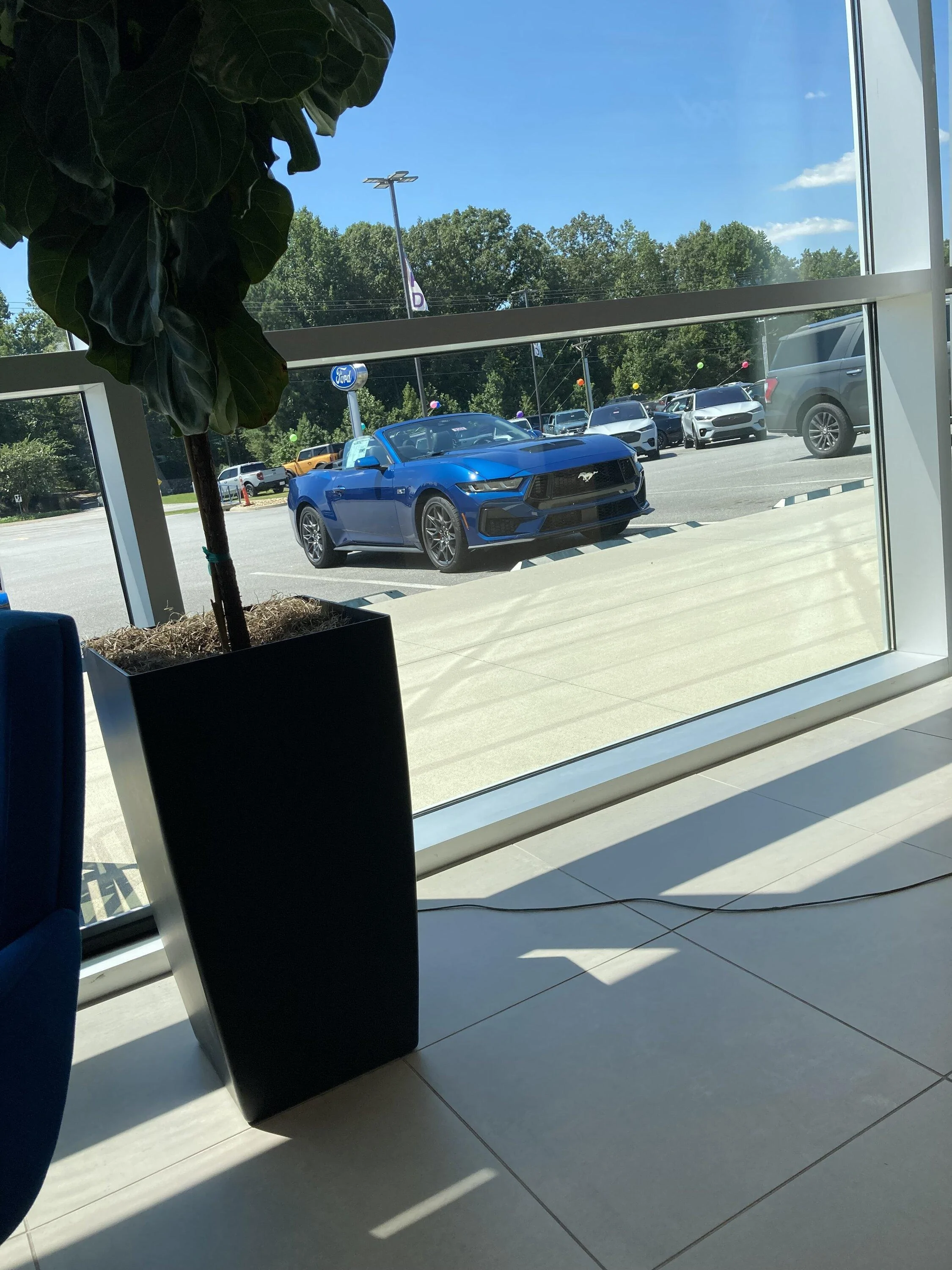 S650 Mustang Guess what? IMG_3035