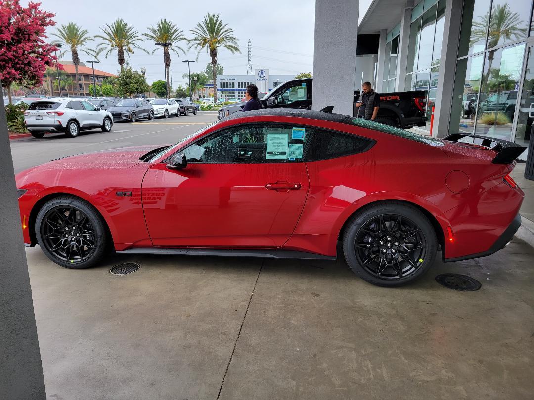 S650 Mustang Picked Up Faux Horse this Morning Photo 2
